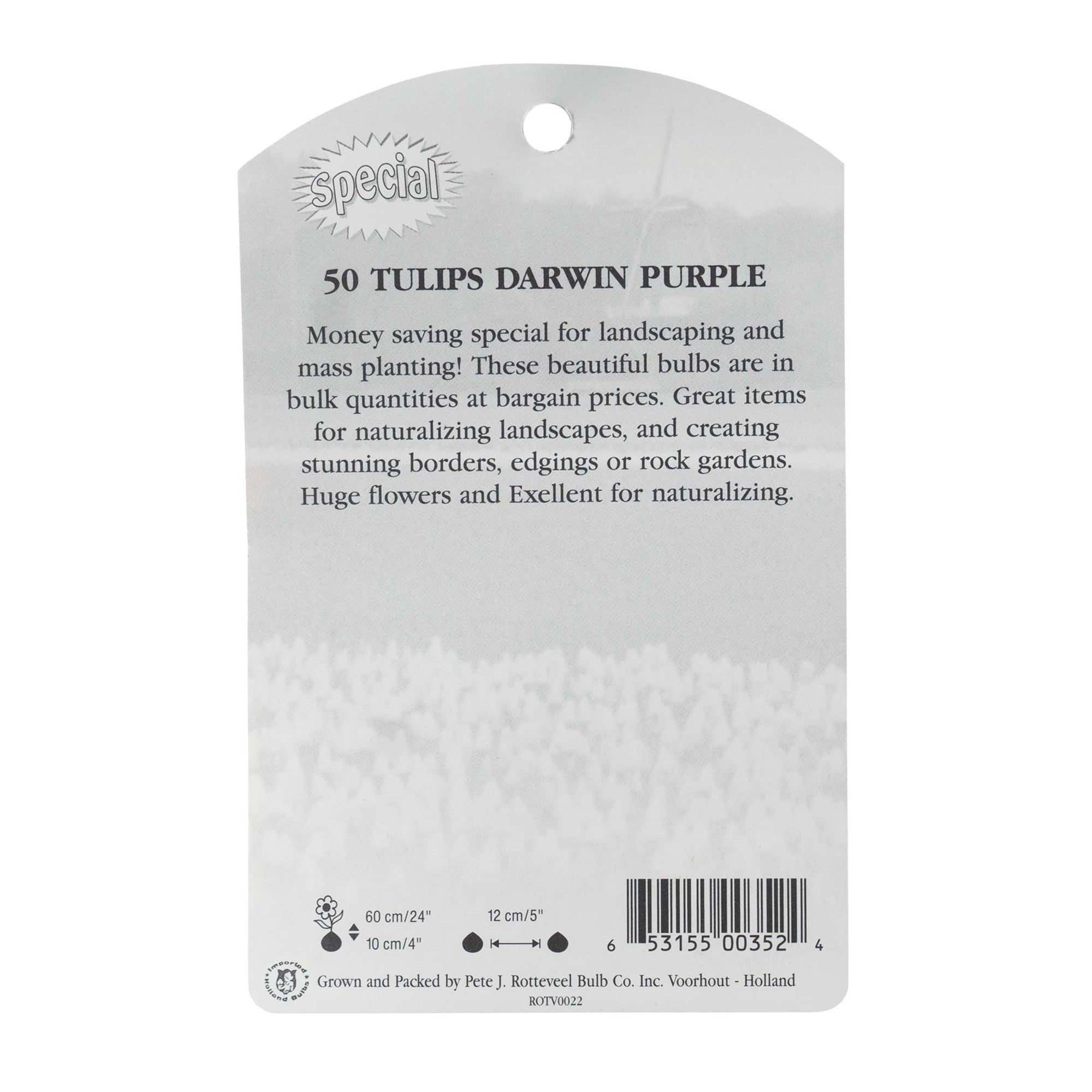 Garden Elements Spring Blooming Bulbs – Darwin Tulip, Purple – 50 Pack