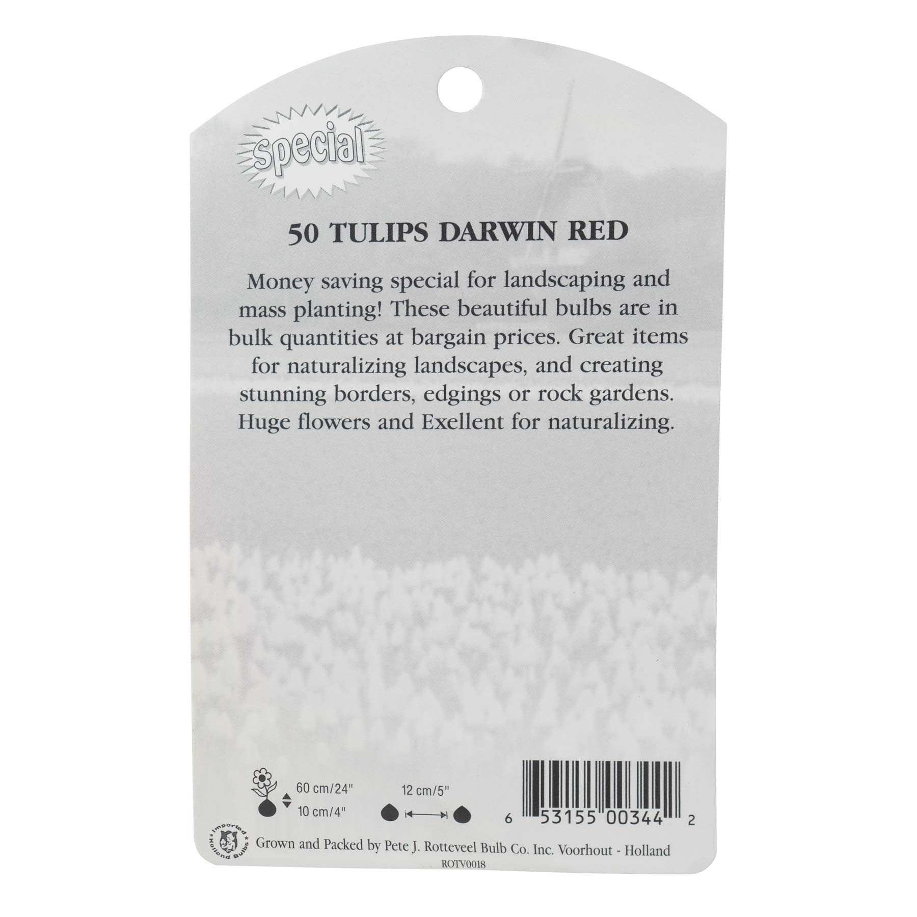 Garden Elements Spring Blooming Bulbs – Darwin Tulip, Red Impression – 50 Pack
