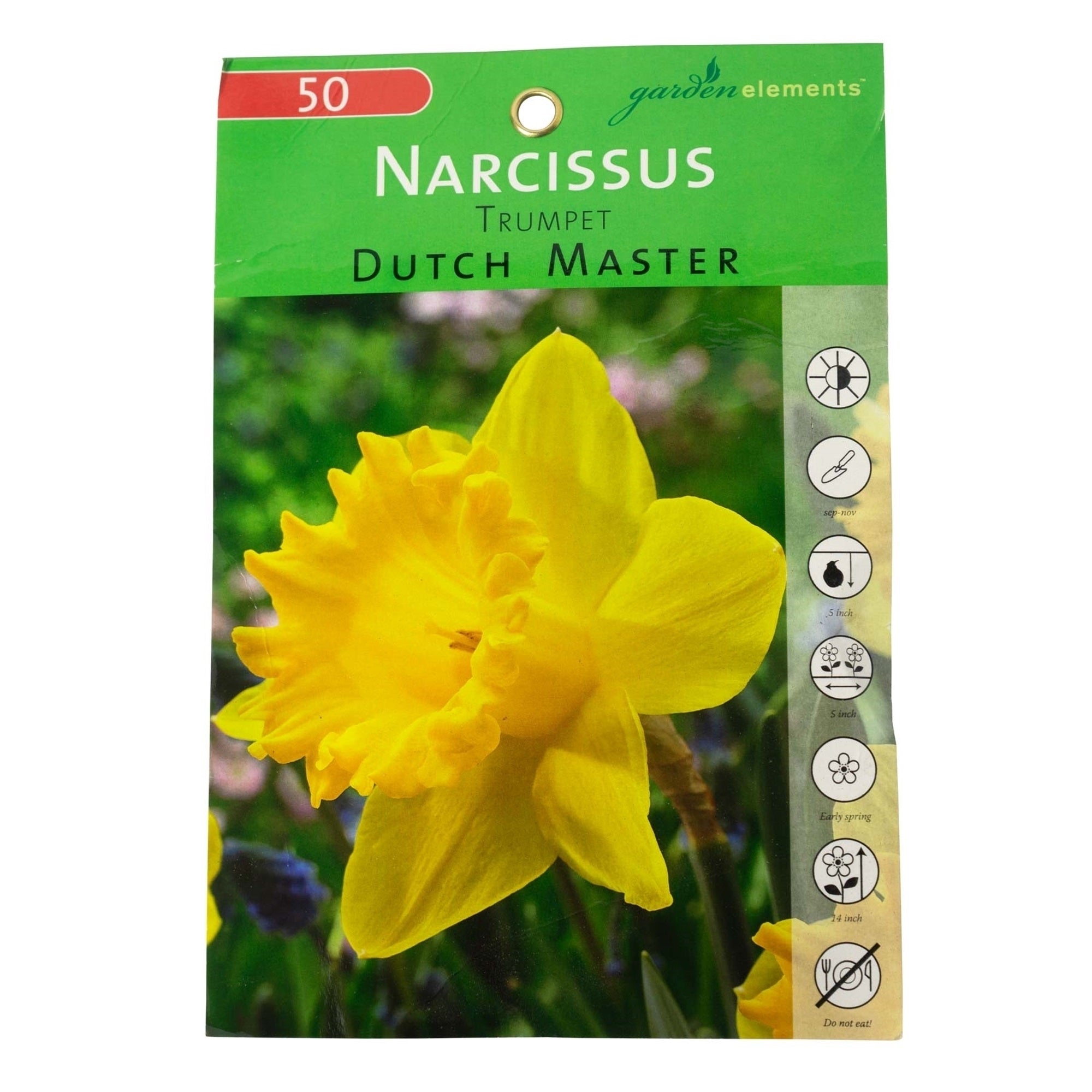 Garden Elements Spring Blooming Bulbs – Dutch Master Narcissus Daffodil, Yellow – 50 Pack