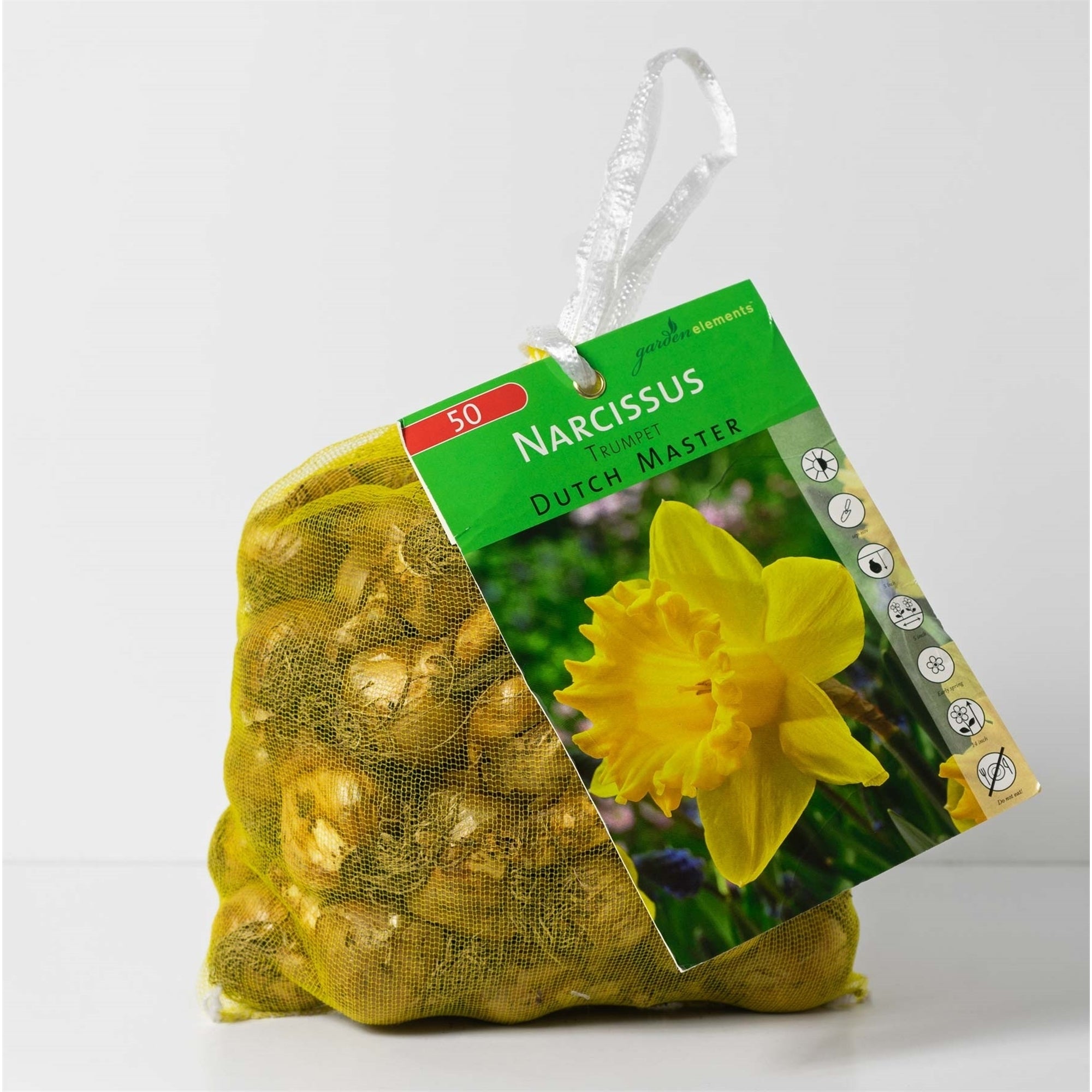 Garden Elements Spring Blooming Bulbs – Dutch Master Narcissus Daffodil, Yellow – 50 Pack