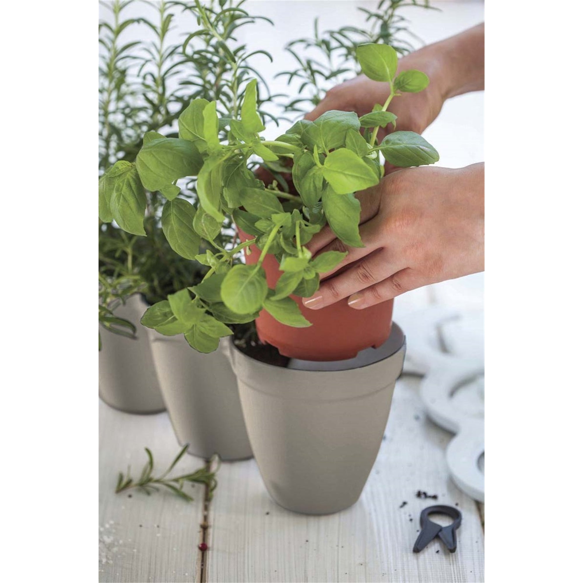 Keter Indoor/Outdoor Ivy 3 Pot Herb Planter, Taupe, 13in