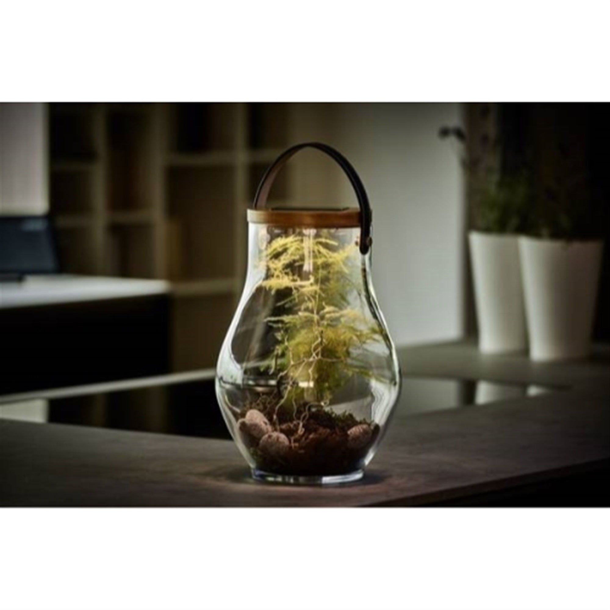 Krinner Lumix Solar-Powered Home Decoration Glass LED Display Jar, 13.5in