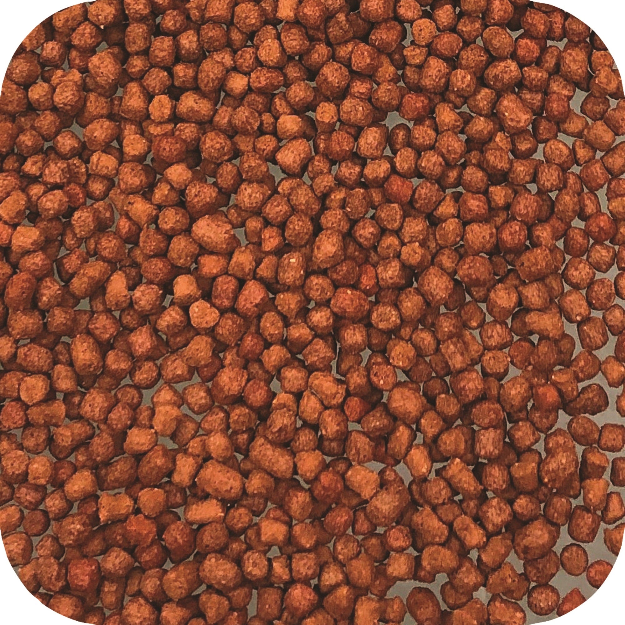 Eco Labs Microbe-Lift Legacy Koi & Goldfish Summer Staple Food, 4lbs
