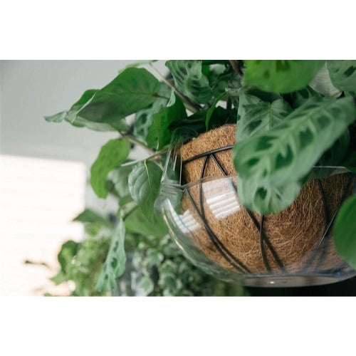 Curtis Wagner Plastics Hanging Basket Drip Pan for Wire Coco Baskets — Fits 12" & 14"