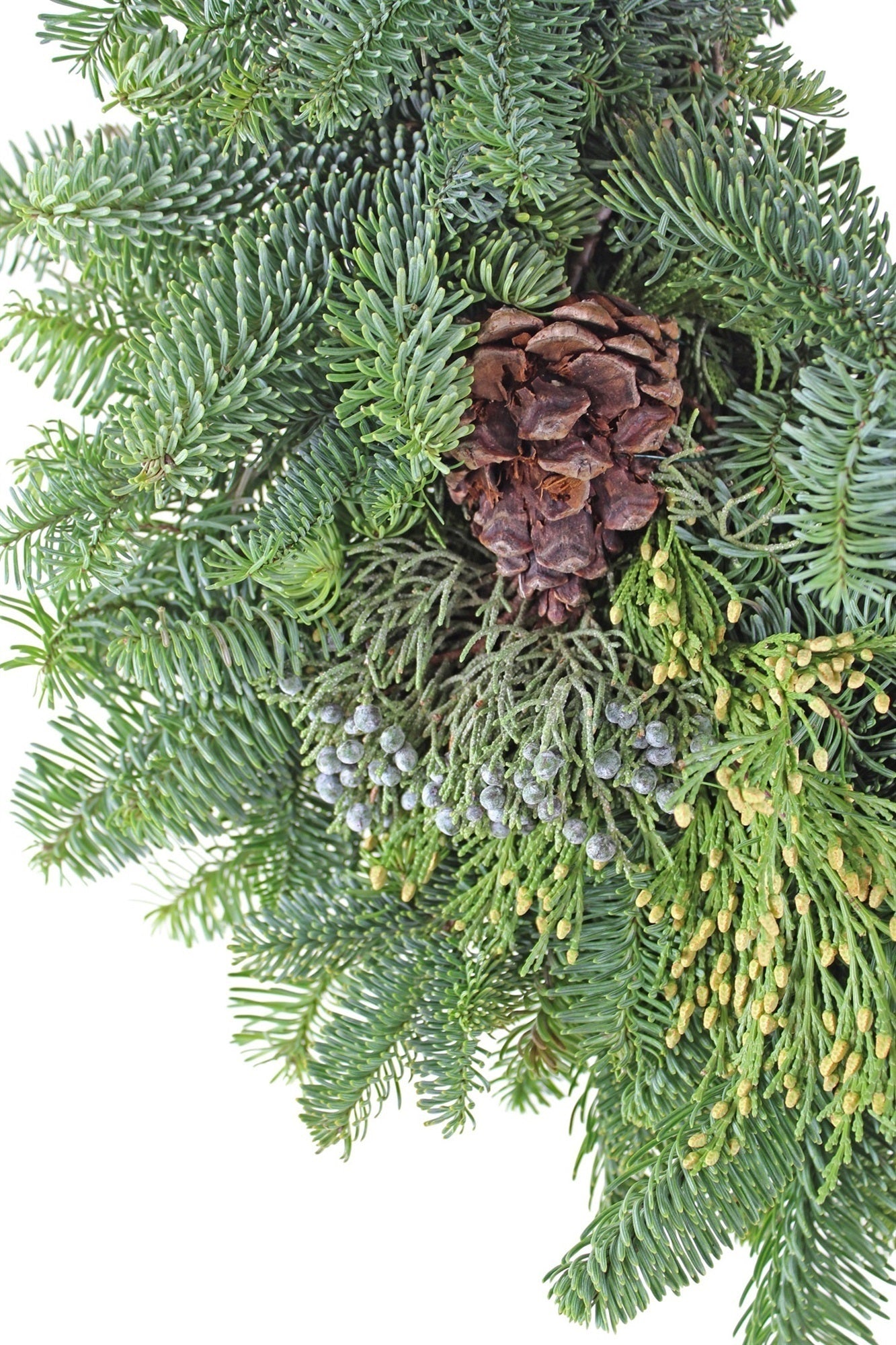 Garden Elements Fresh Holiday Evergreen Wreath, Mixed Noble Greens with Pine Cones, 24"