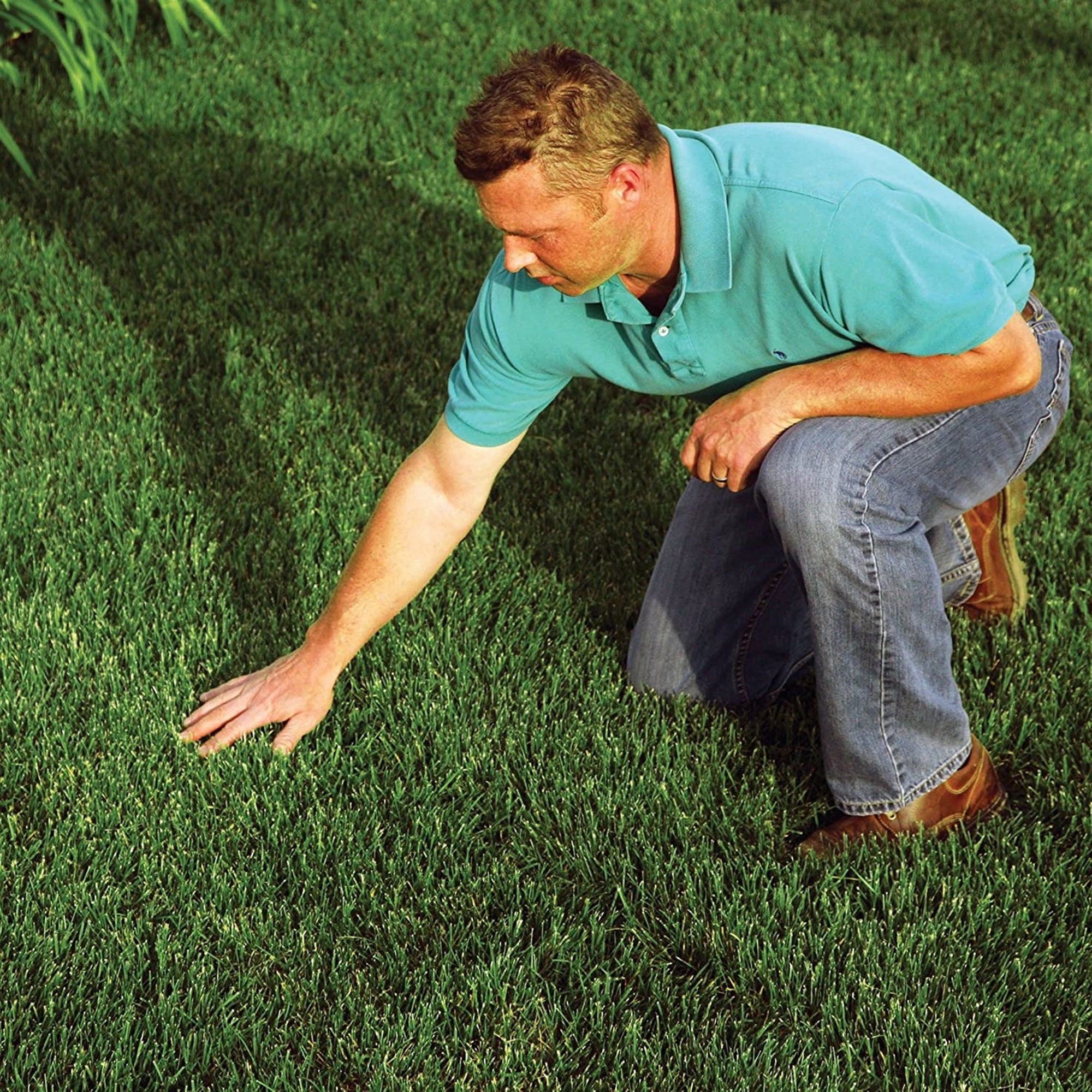 EZ Straw Lawn Repair Mix, Sun/Shade Blend, 11 Pounds