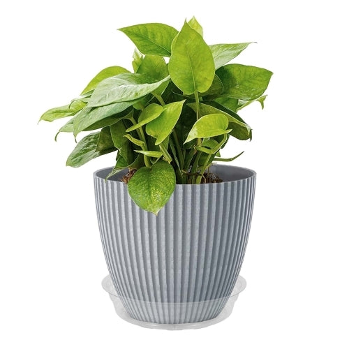 Curtis Wagner Plastics Vinyl Plant Saucer — Air-Flow Bottom Design, Clear — 6"