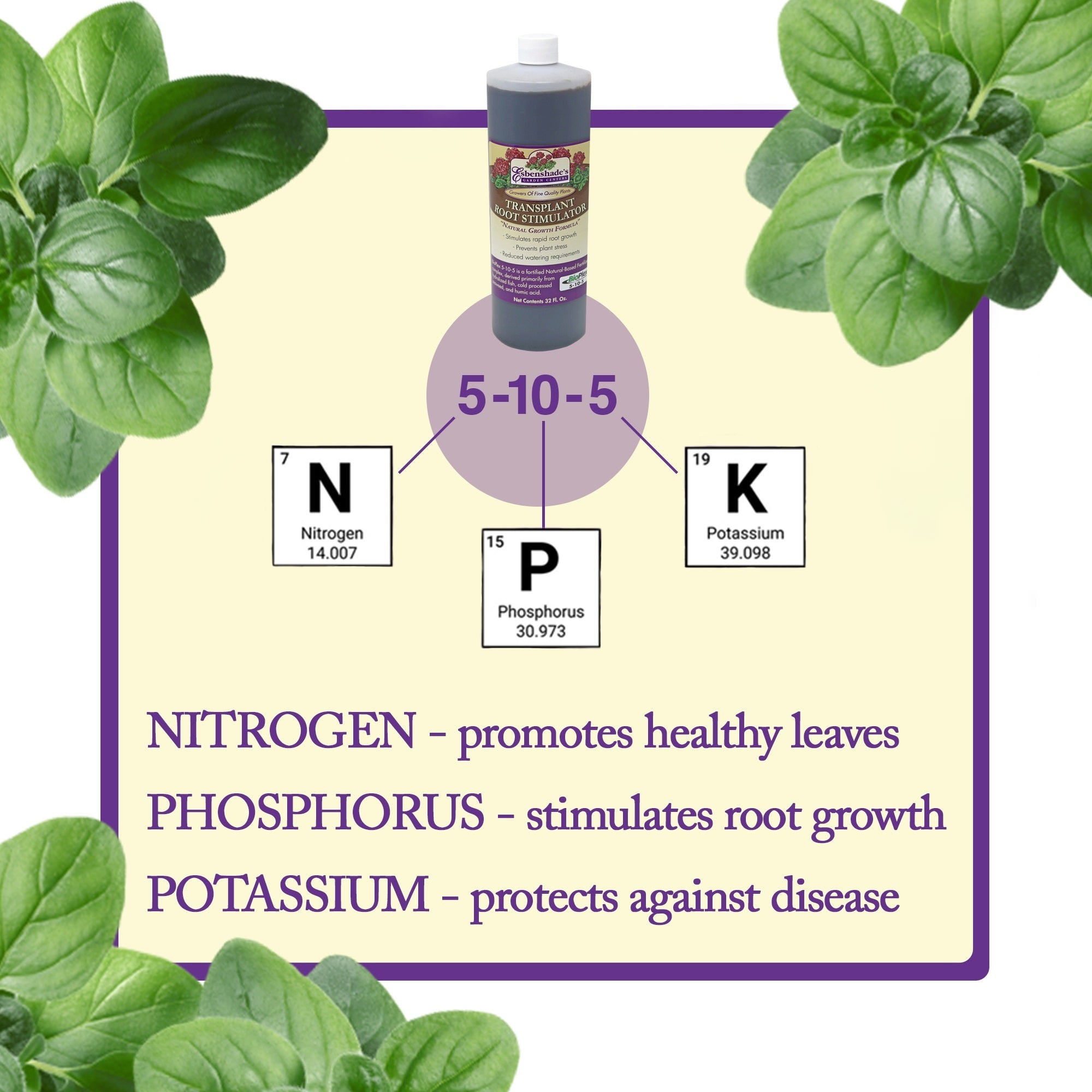 Esbenshade’s Transplant Root Stimulator 5-10-5 Fertilizer, 32oz
