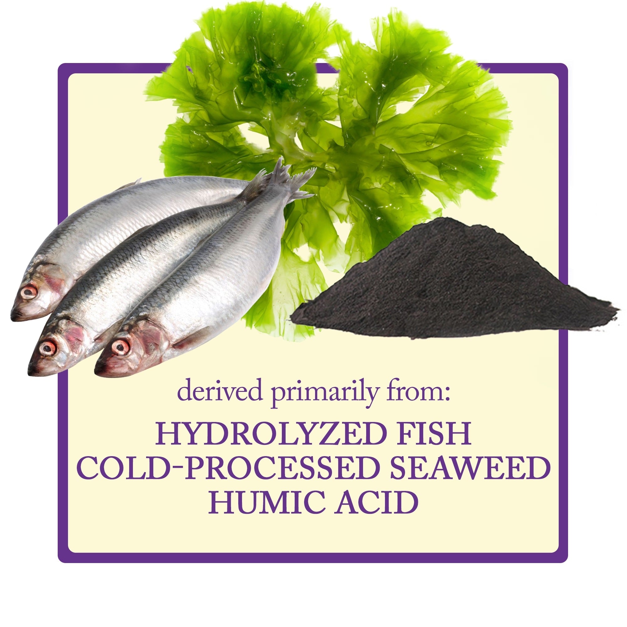 Esbenshade’s Transplant Root Stimulator 5-10-5 Fertilizer, 32oz