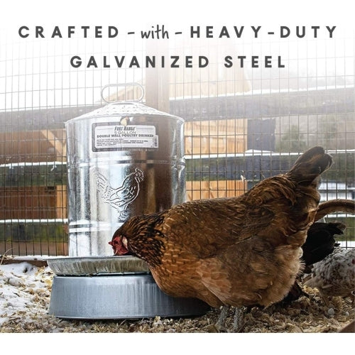Harris Farms Free Range Galvanized Steel Double Wall Poultry Drinker, 2 Gallons