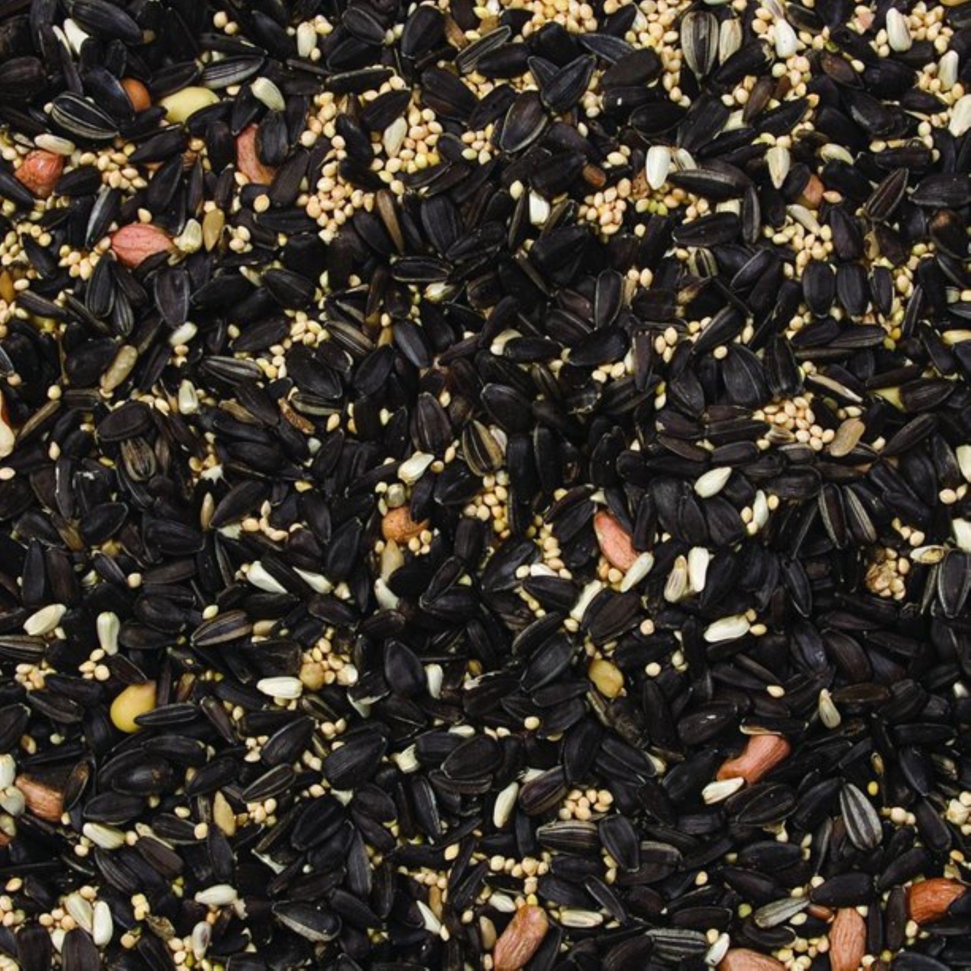 Wild Delight Gourmet Outdoor Wild Bird Food, 20lbs