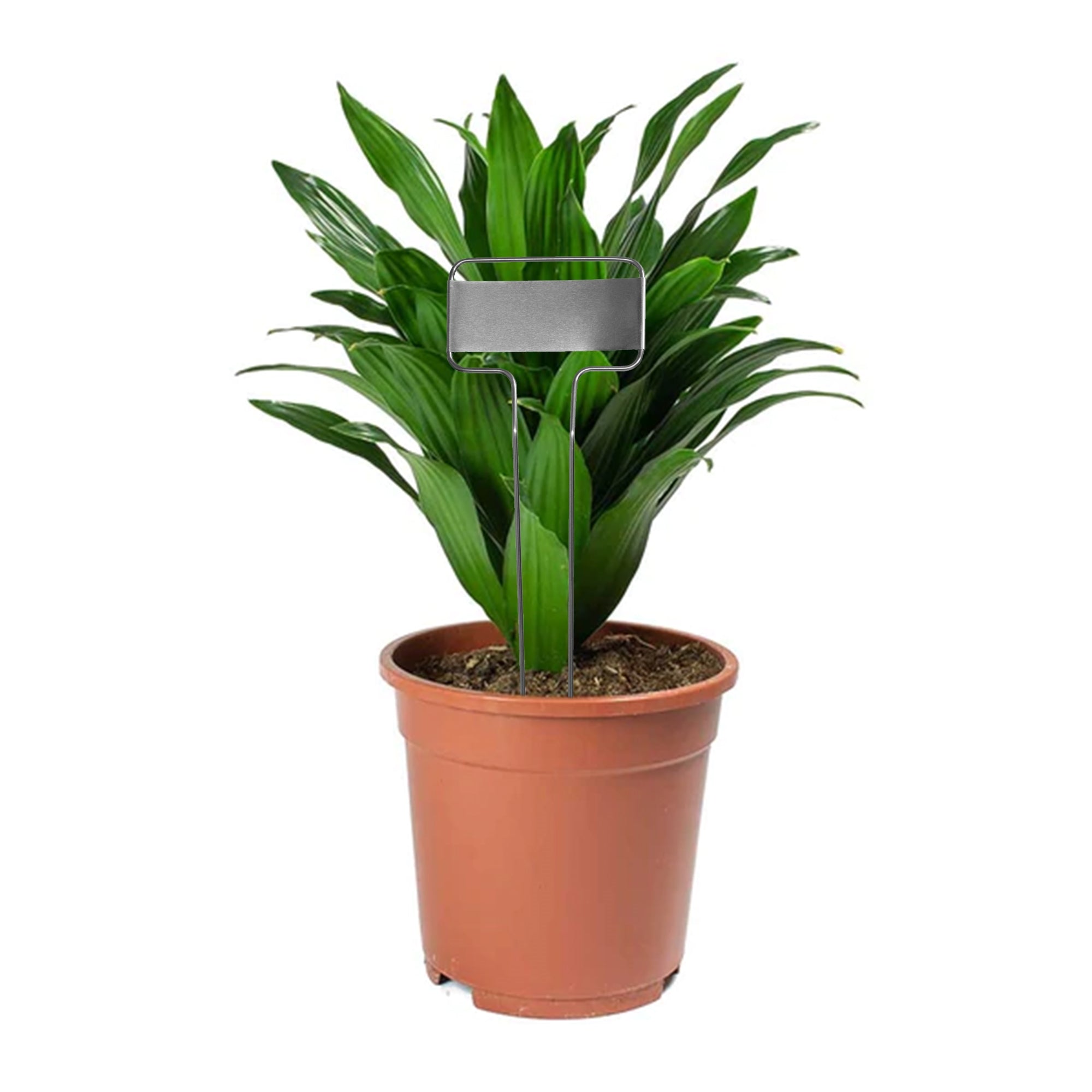 DP Industries Garden Aces Metal Marker, 10" (Pack of 8)