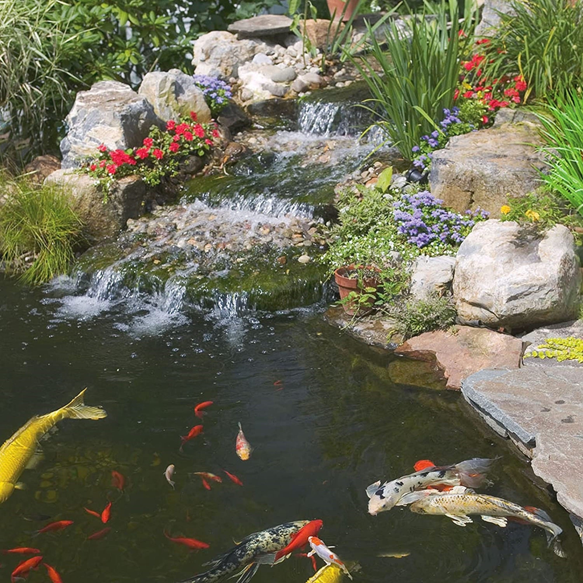 TetraPond Pond Sticks Fish Food for Goldfish and Koi, 1.72lbs