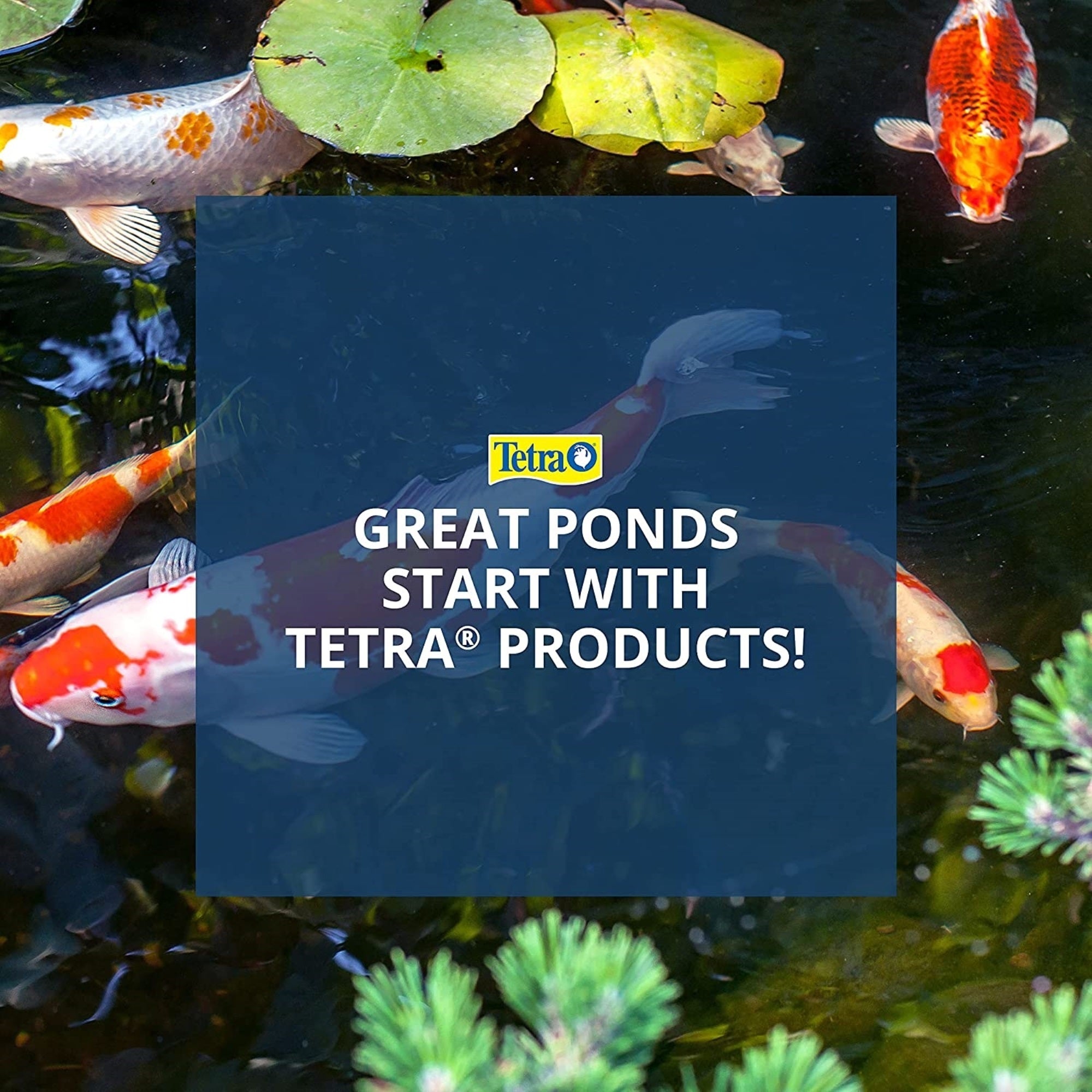 TetraPond Pond Sticks Fish Food for Goldfish and Koi, 1.72lbs