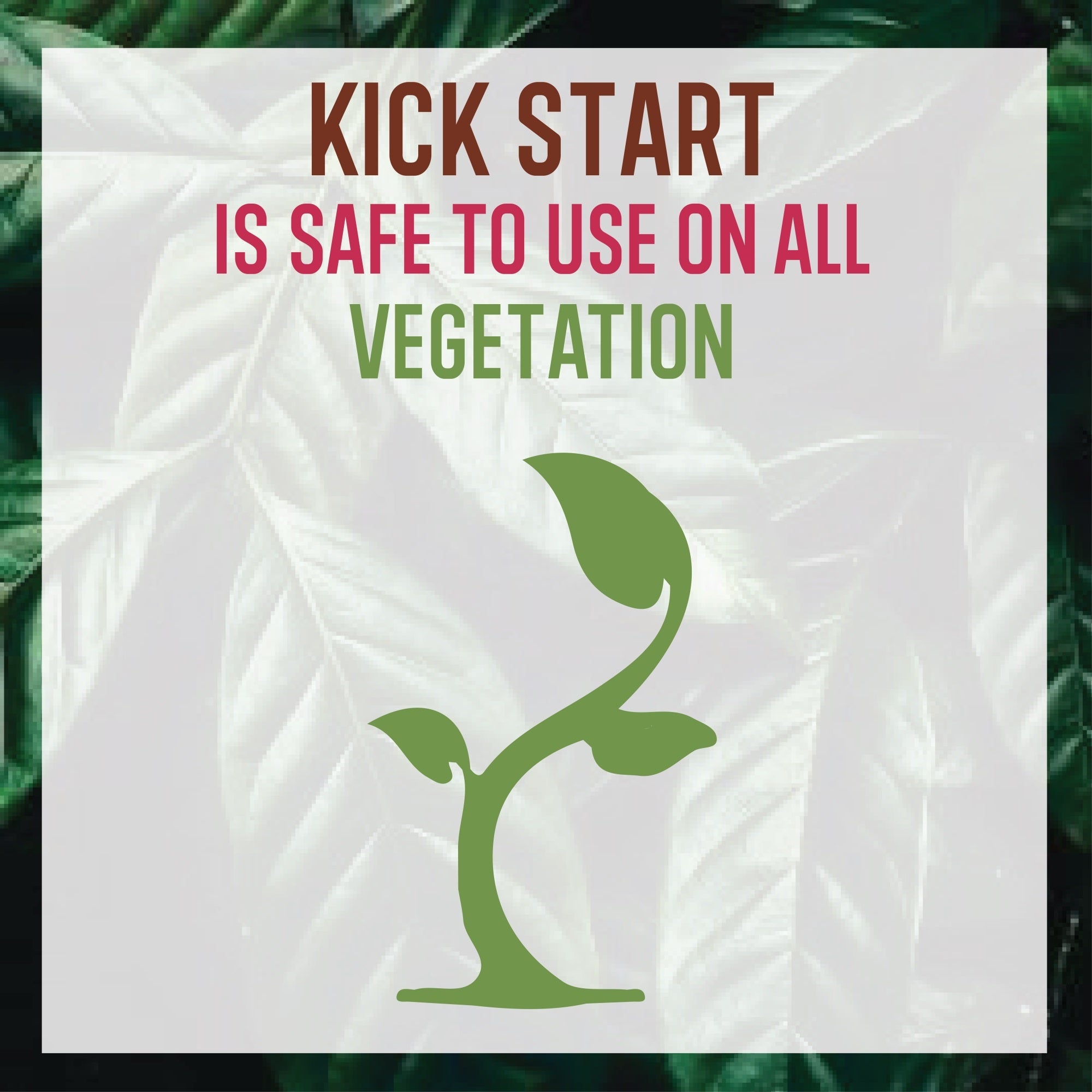 Pro Trust Kick Start Organic Liquid Fertilizer Concentrate Foliar Supplement (Treats up to 5,000 sq ft) 1 fl oz