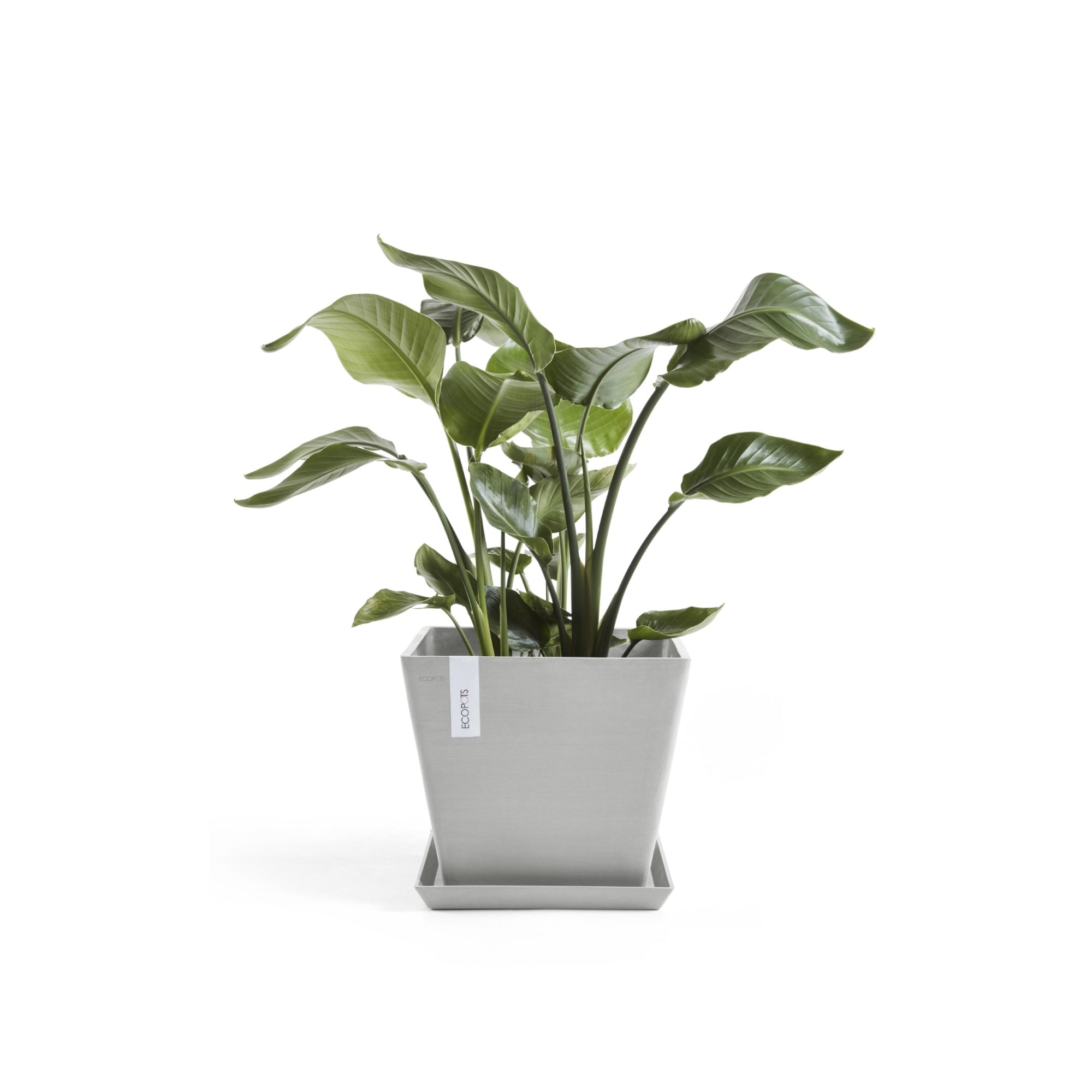 Ecopots Rotterdam Durable Modern Square Indoor/Outdoor Recycled-Based Composite Flower Planter