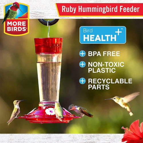 More Birds Classic Glass Ruby Hummingbird Feeder — Built-In Ant Moat, 4 Ports — 10 oz