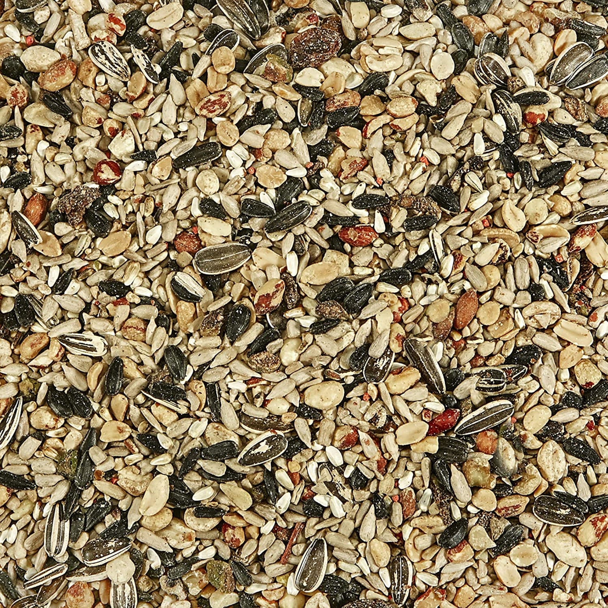 Kaytee Nut & Fruit Blend Wild Bird Food, 5lbs
