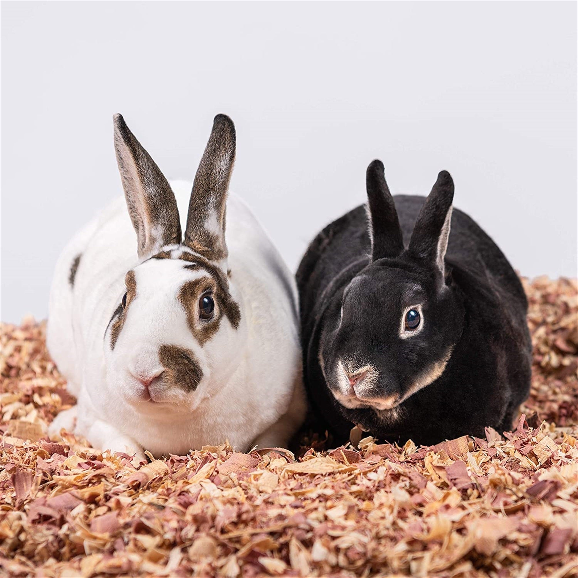 PetsPick Red Cedar Pet Bedding for Dogs, Horses, Small Animals, 24L