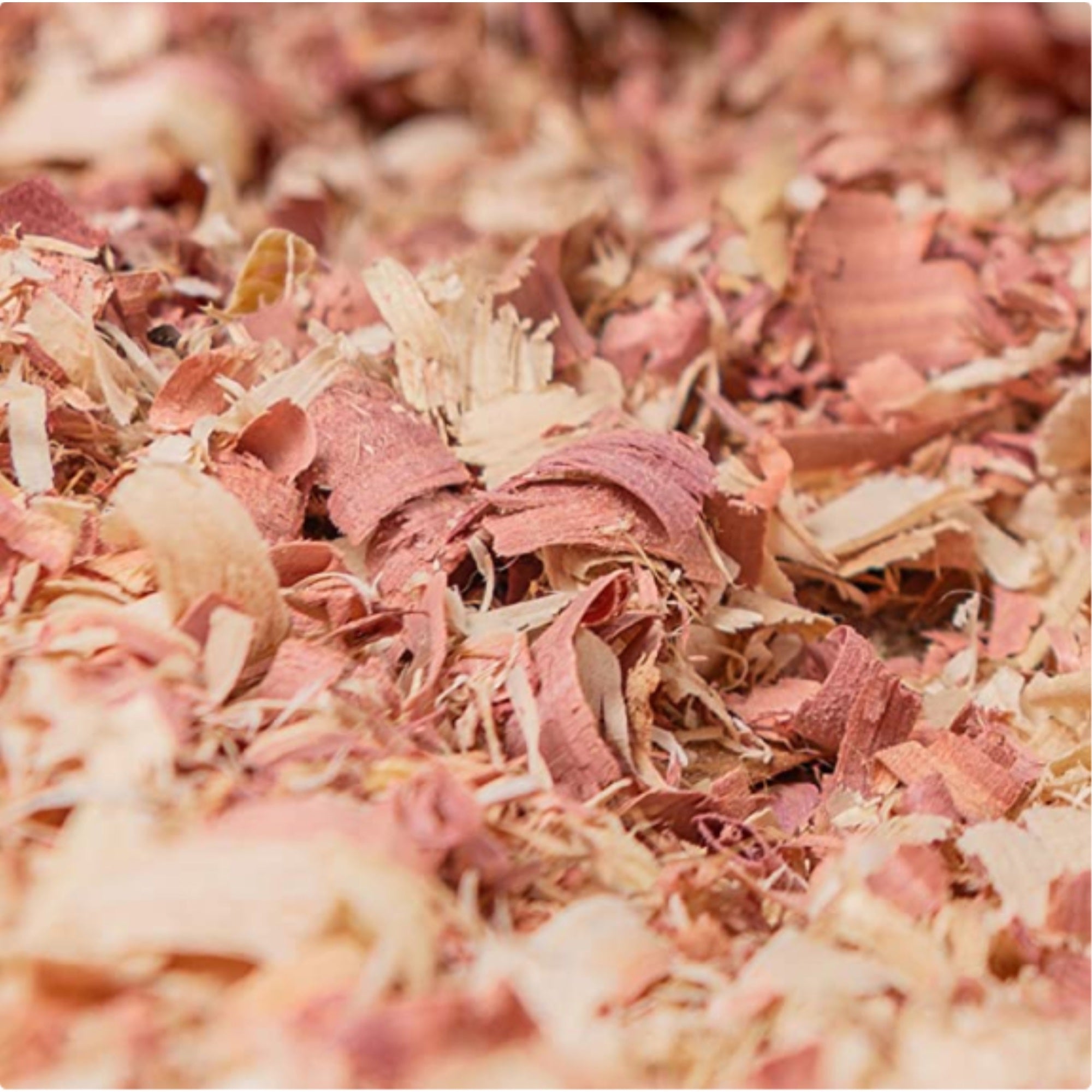 PetsPick Kiln Dried Red Cedar Bedding, 41L