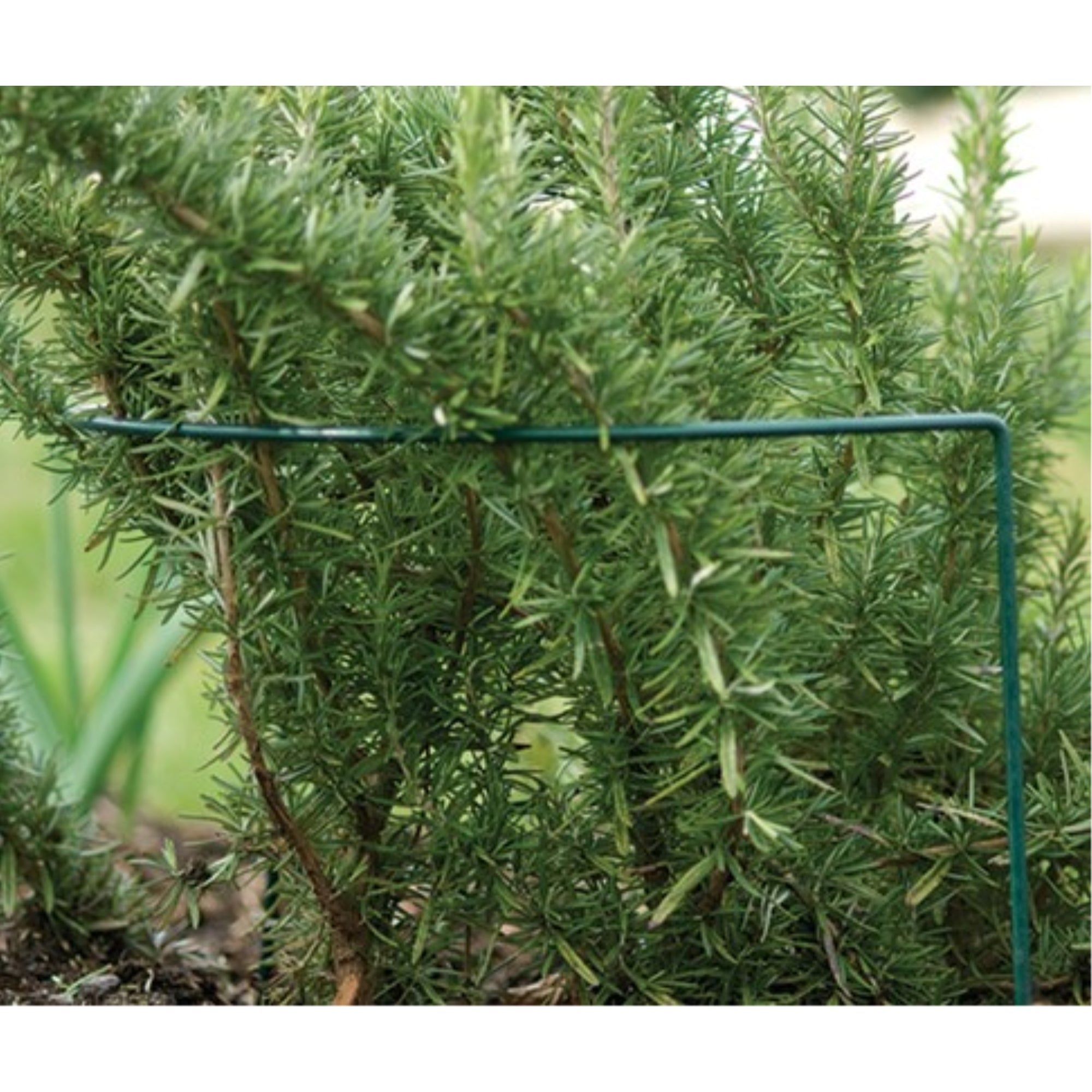 Luster Leaf Link-Ups Metal U-Shaped Plant Prop for Gardens and Flower Beds, 10" W x 30" H, Green