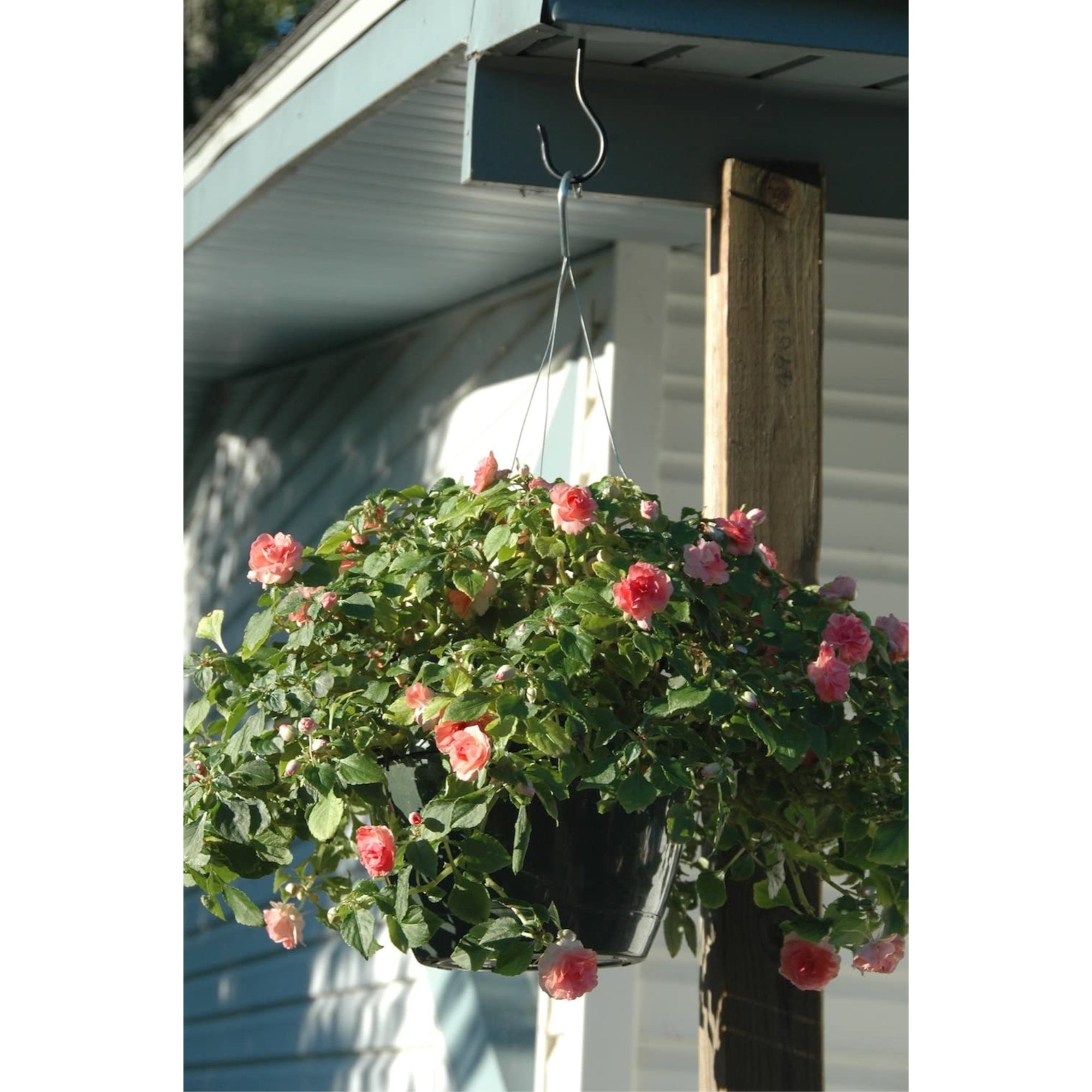 Hookery Ceiling Hook for Planters, Lanterns, or Indoor or Outdoor Use – Heavy-Duty, Supports up to 30lb, Black, 5"