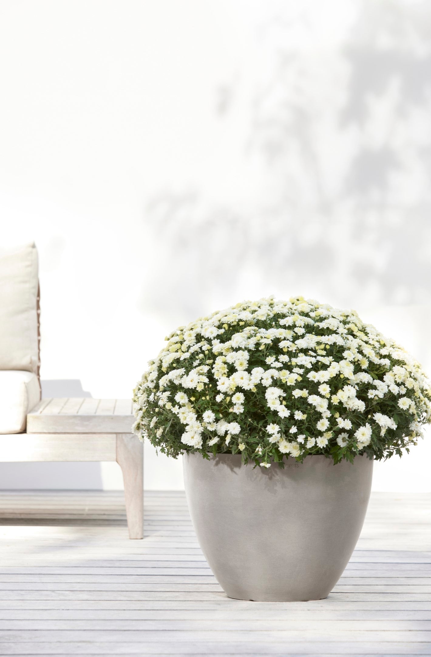 Ecopots Antwerp Durable Modern Round Indoor/Outdoor Recycled-Based Composite Flower Pot Planter