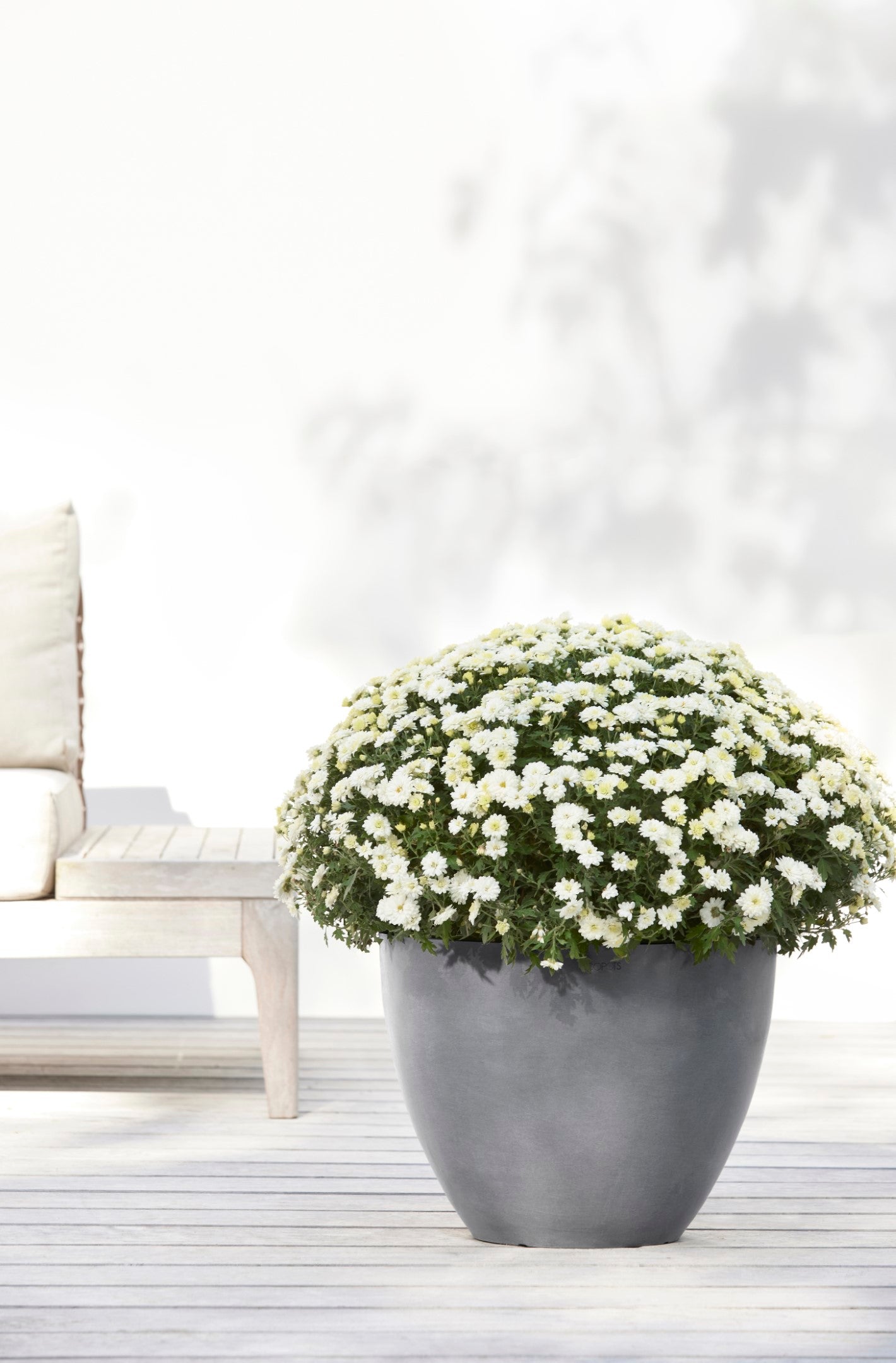 Ecopots Antwerp Durable Modern Round Indoor/Outdoor Recycled-Based Composite Flower Pot Planter