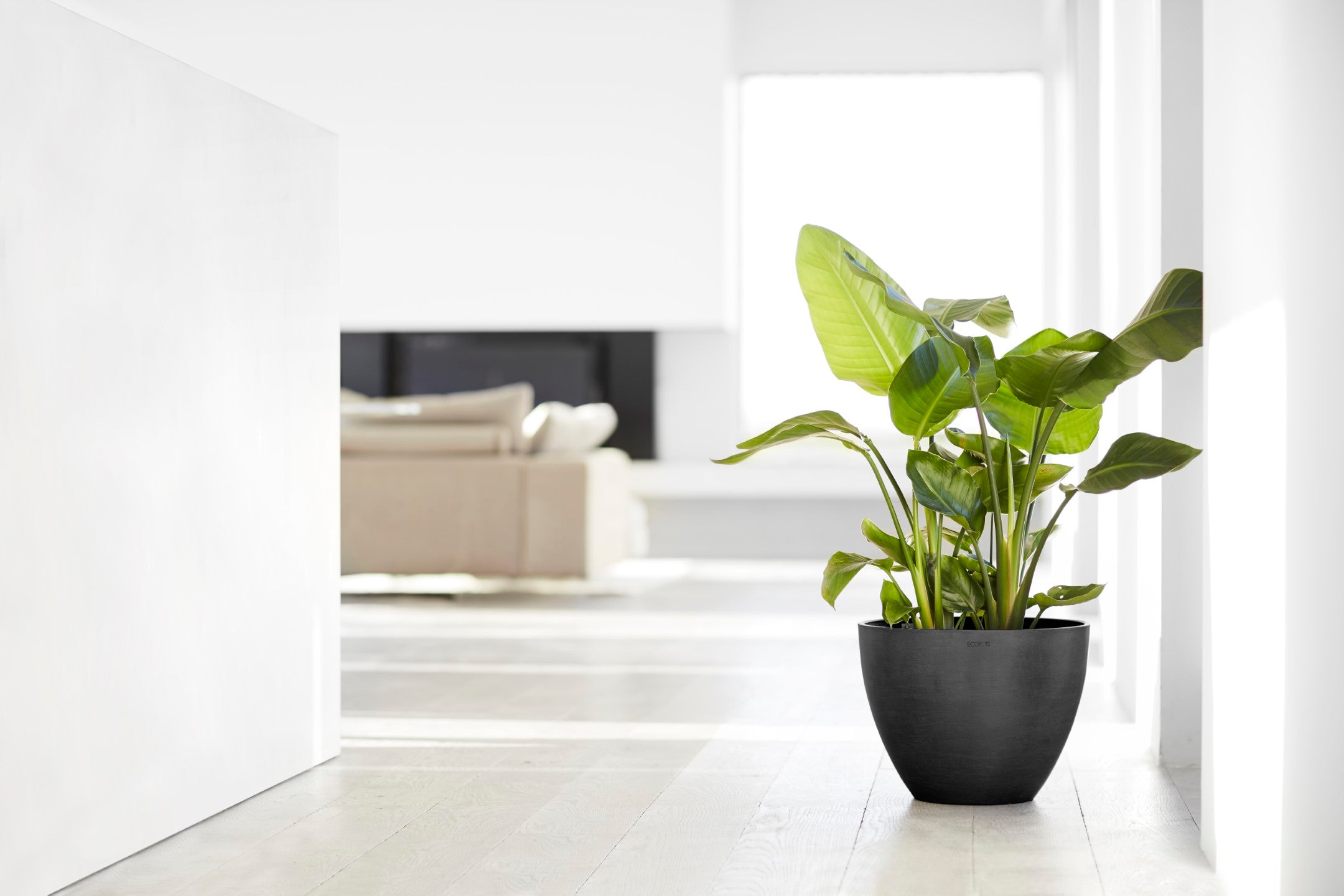 Ecopots Antwerp Durable Modern Round Indoor/Outdoor Recycled-Based Composite Flower Pot Planter