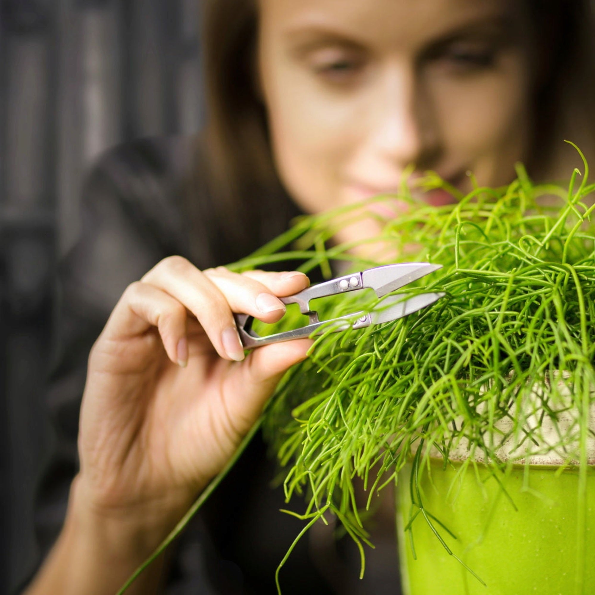 Esschert Design Fallen Fruits Mini Pruning Scissors, Silver, 4.5"