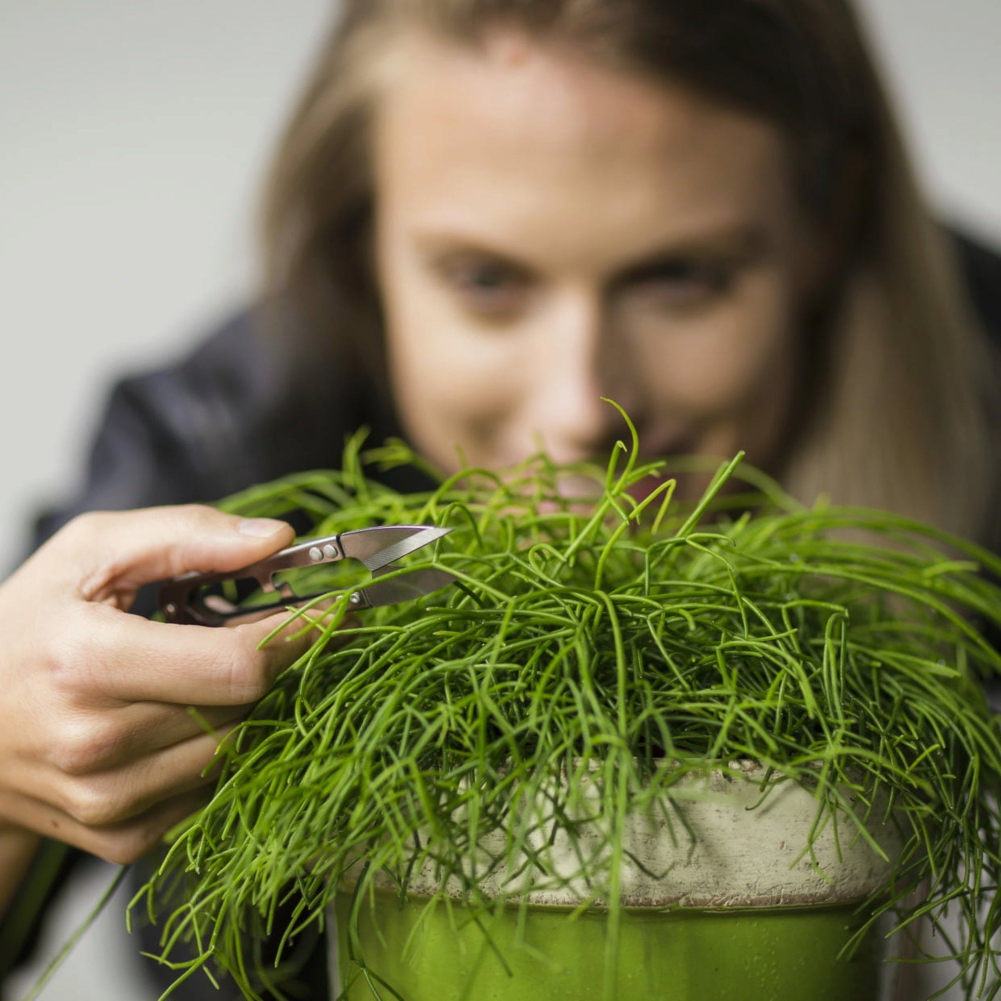 Esschert Design Fallen Fruits Pruning Scissors Mini Gray, 4.5"