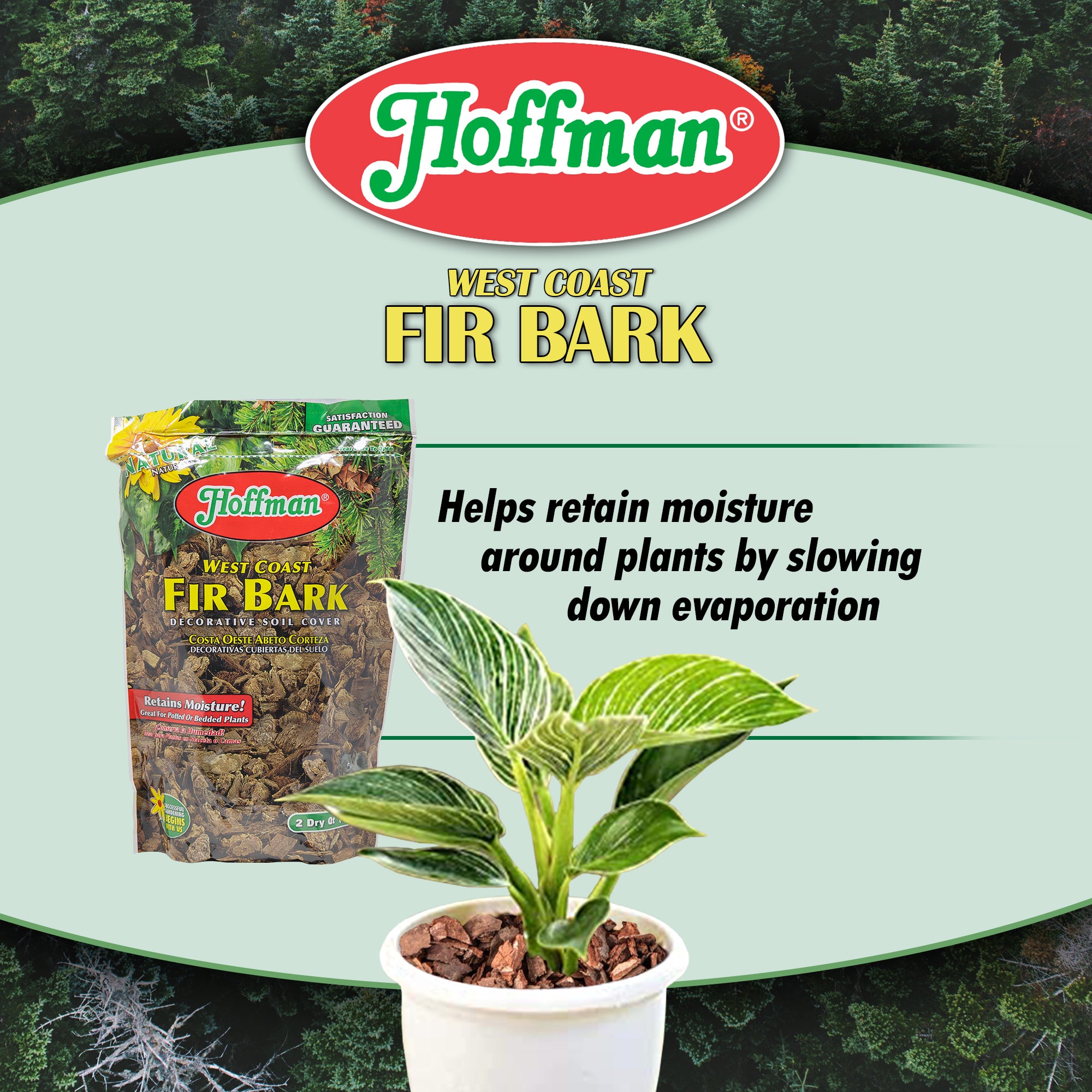 Hoffman West Coast Fir Bark Decorative Moisture Retaining Soil Cover for Potted or Bedded Plants, 2qt