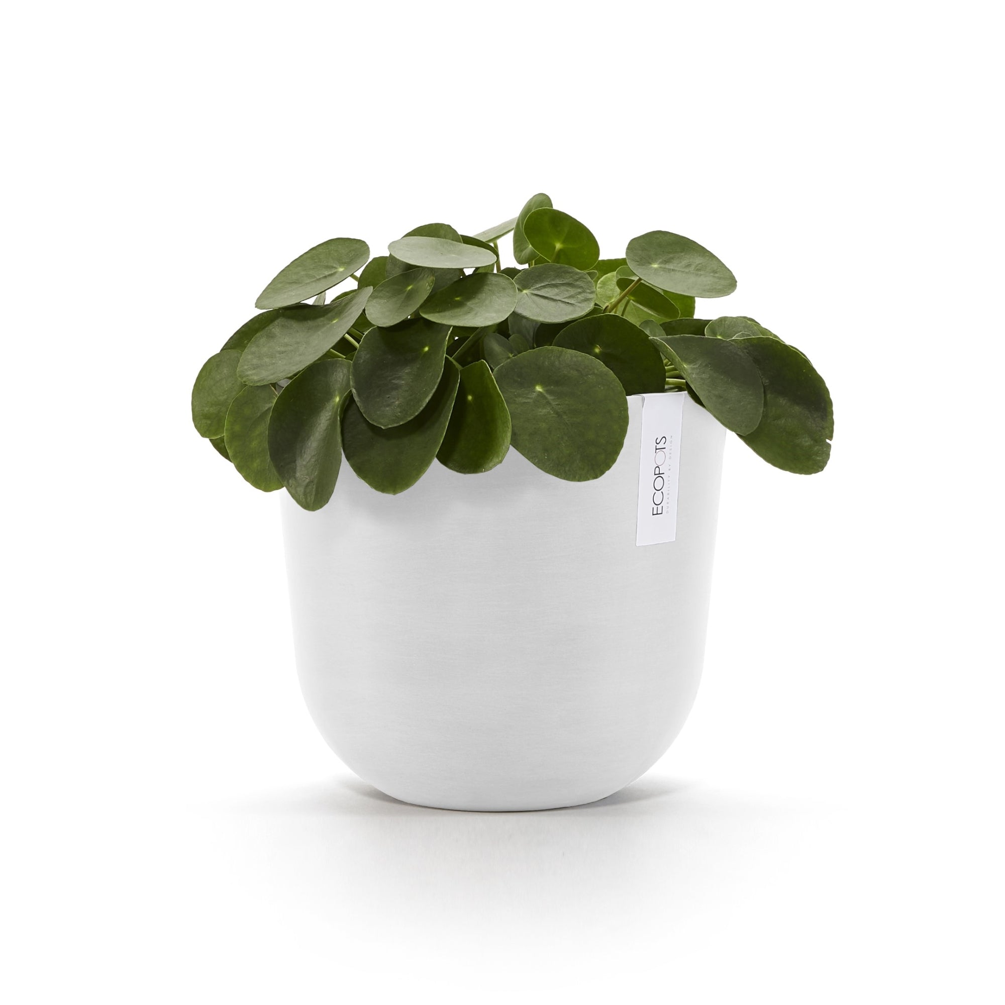 Ecopots Oslo Durable Modern Round Indoor/Outdoor Recycled-Based Composite Flower Pot Planter