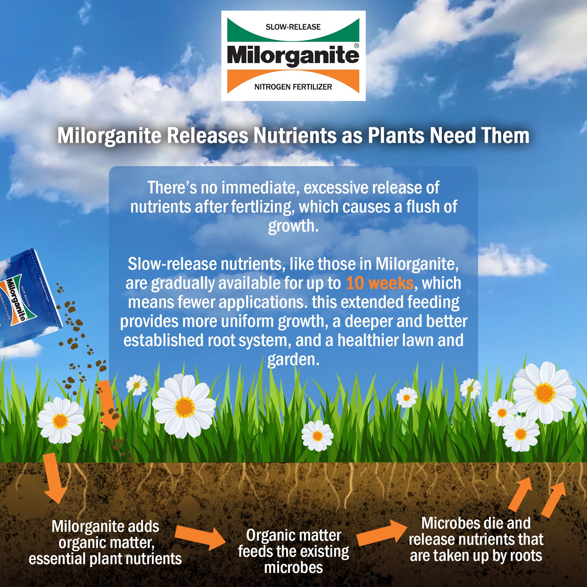 Milorganite All-Purpose Eco-Friendly Slow-Release Nitrogen Fertilizer 6-4-0, 5lb (Not for Sale in ME & CT)