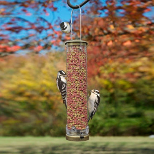 Cole’s Mighty Mesh Wild Bird Tube Feeder — Quick-Clean Base — 1.25 Qt Capacity