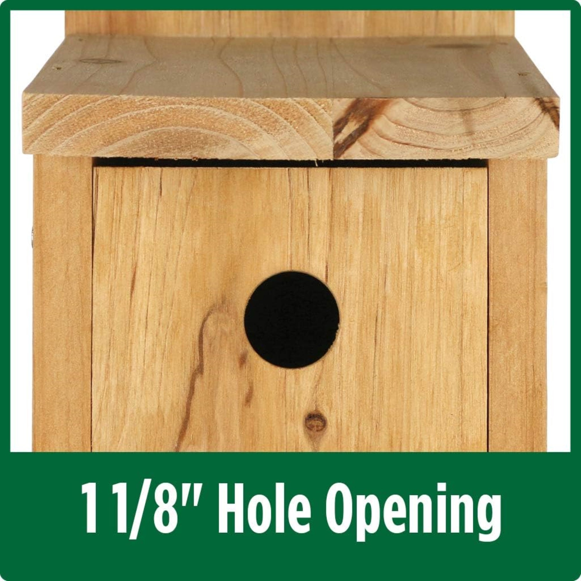 Wild Wings Cedar Box Wren House – Durable Cedar Shelter for Wrens & Chickadees with Easy-Clean Access and Air Ventilation