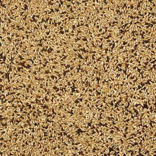 Kaytee Supreme Canary & Finch Bird Seed — Complete Natural Daily Nutrition, 20lb