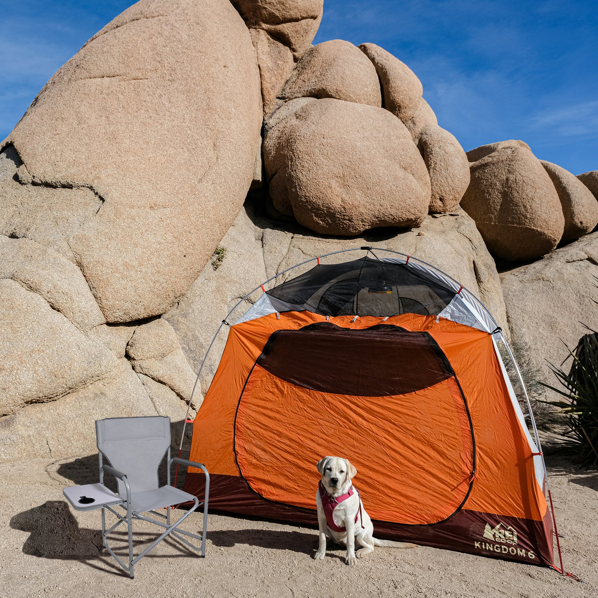 Zenithen Portable Outdoor Directors Folding Chair with Side Table, Light Gray