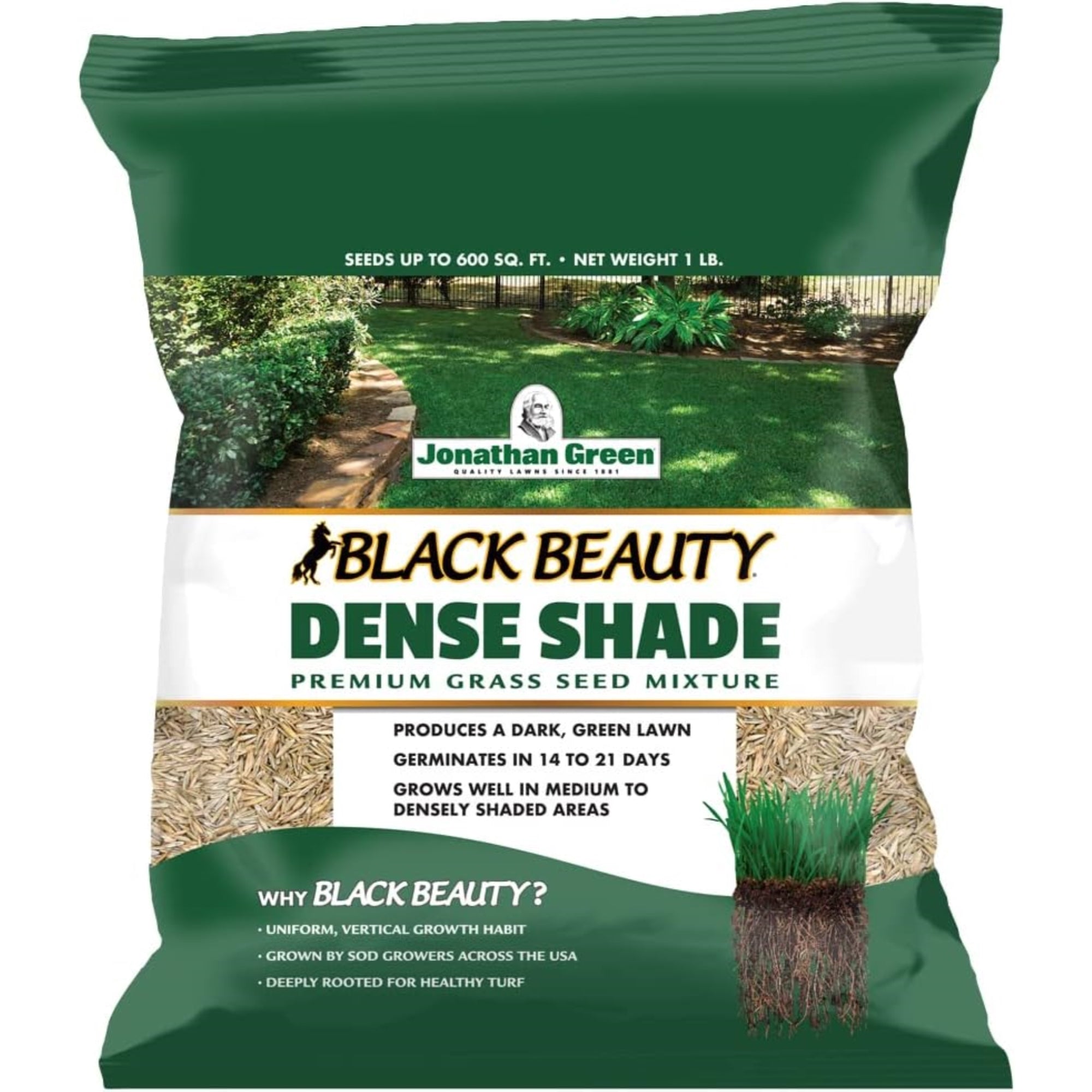 Jonathan Green Black Beauty Dense Shade Grass Seed Mix