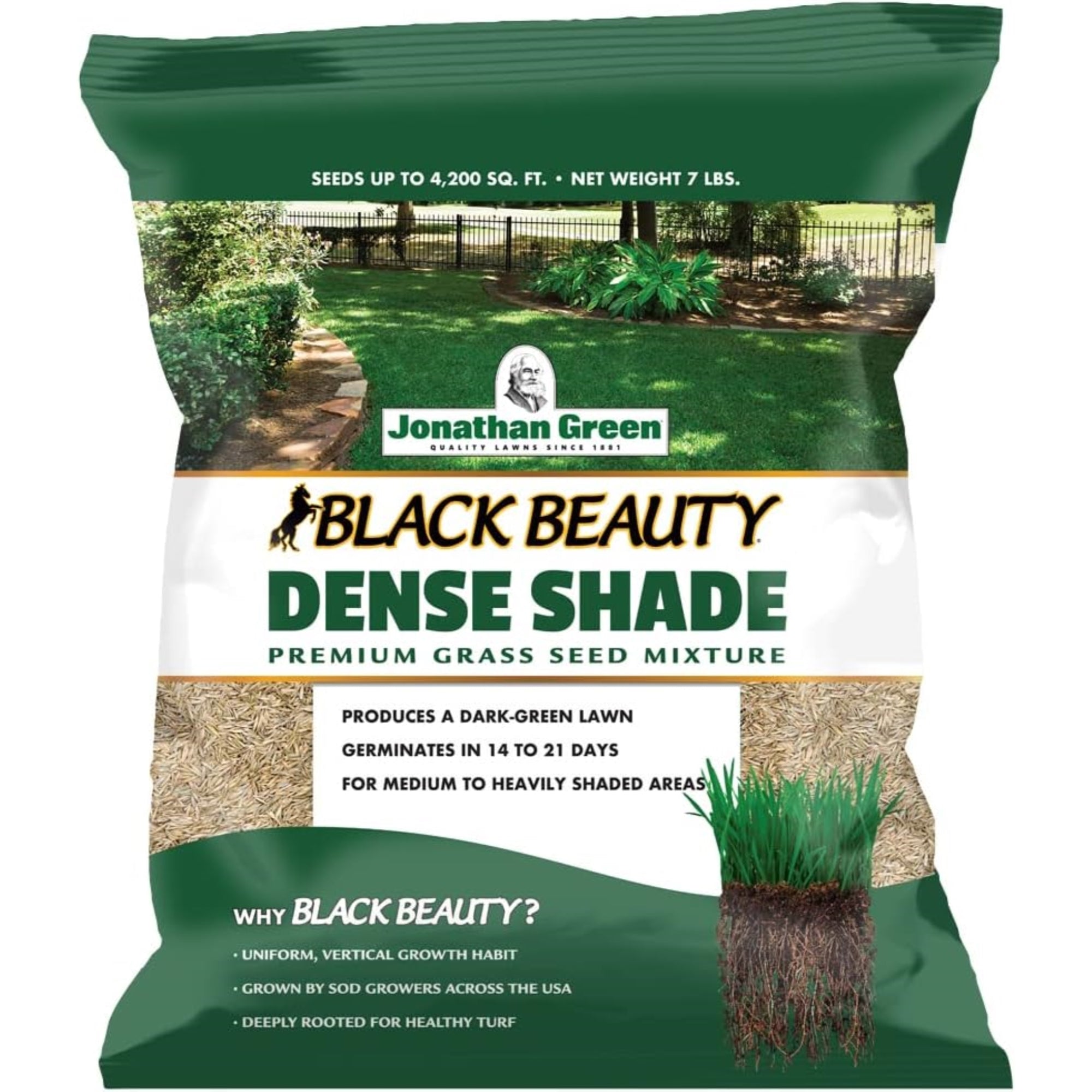 Jonathan Green Black Beauty Dense Shade Grass Seed Mix