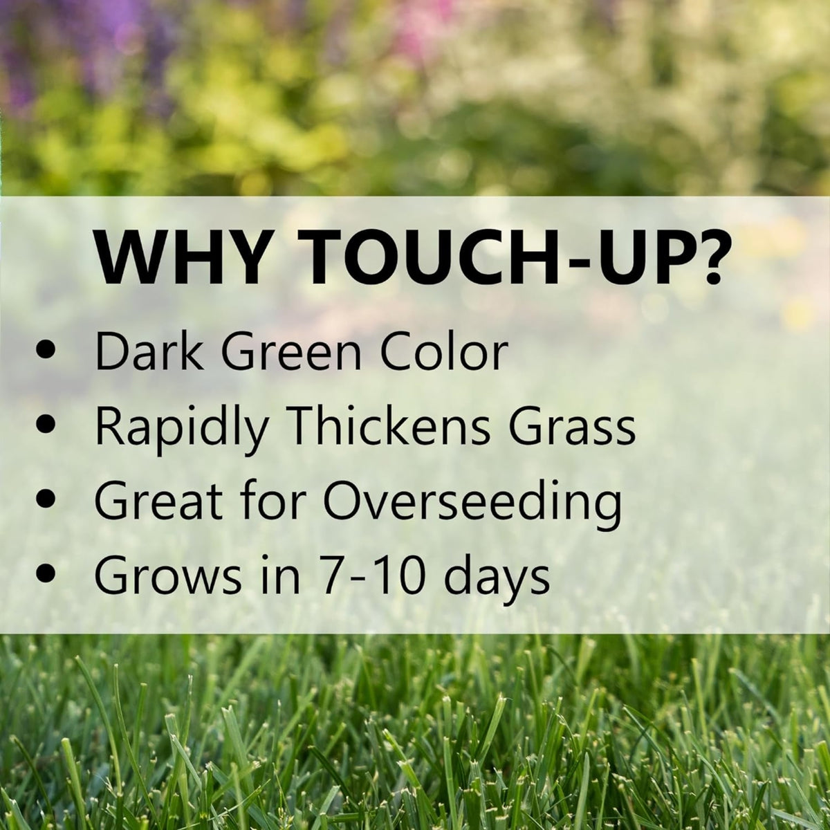 Jonathan Green Touch-Up Fast-Germinating Elite Perennial Ryegrass Blend
