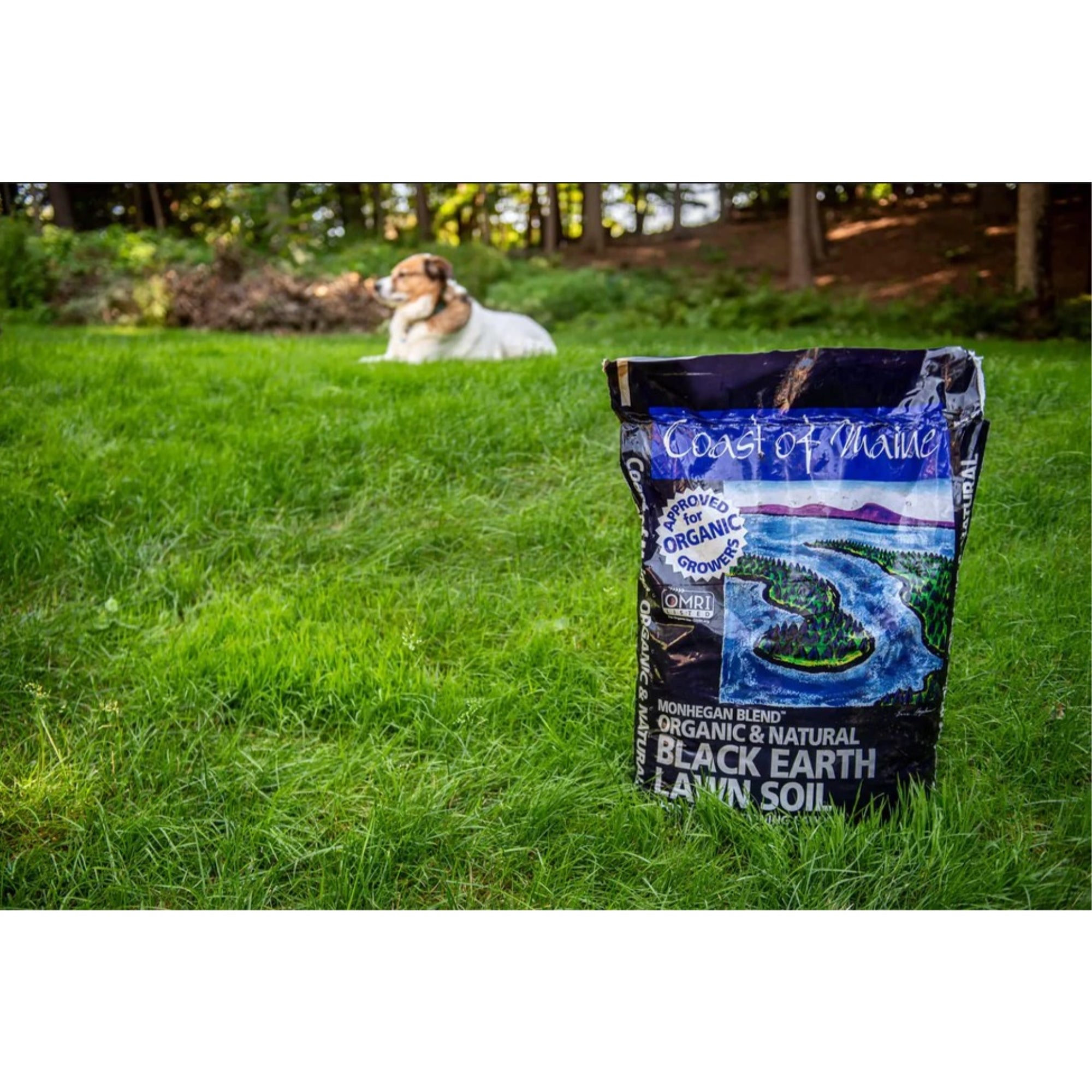 Coast of Maine Monhegan Blend Organic and Natural Black Earth Lawn Soil for Lawn Seeding, 1 cu ft