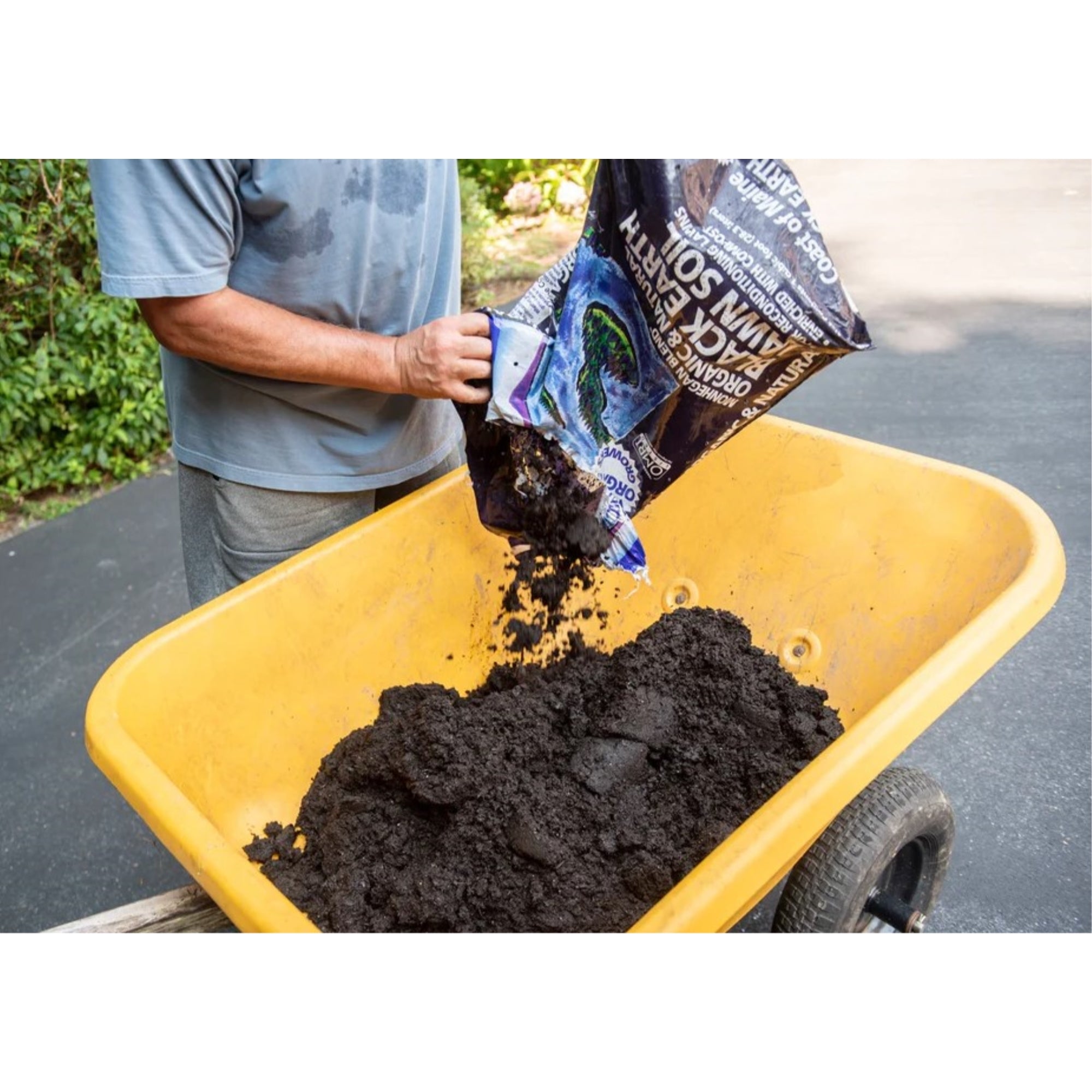 Coast of Maine Monhegan Blend Organic and Natural Black Earth Lawn Soil for Lawn Seeding, 1 cu ft