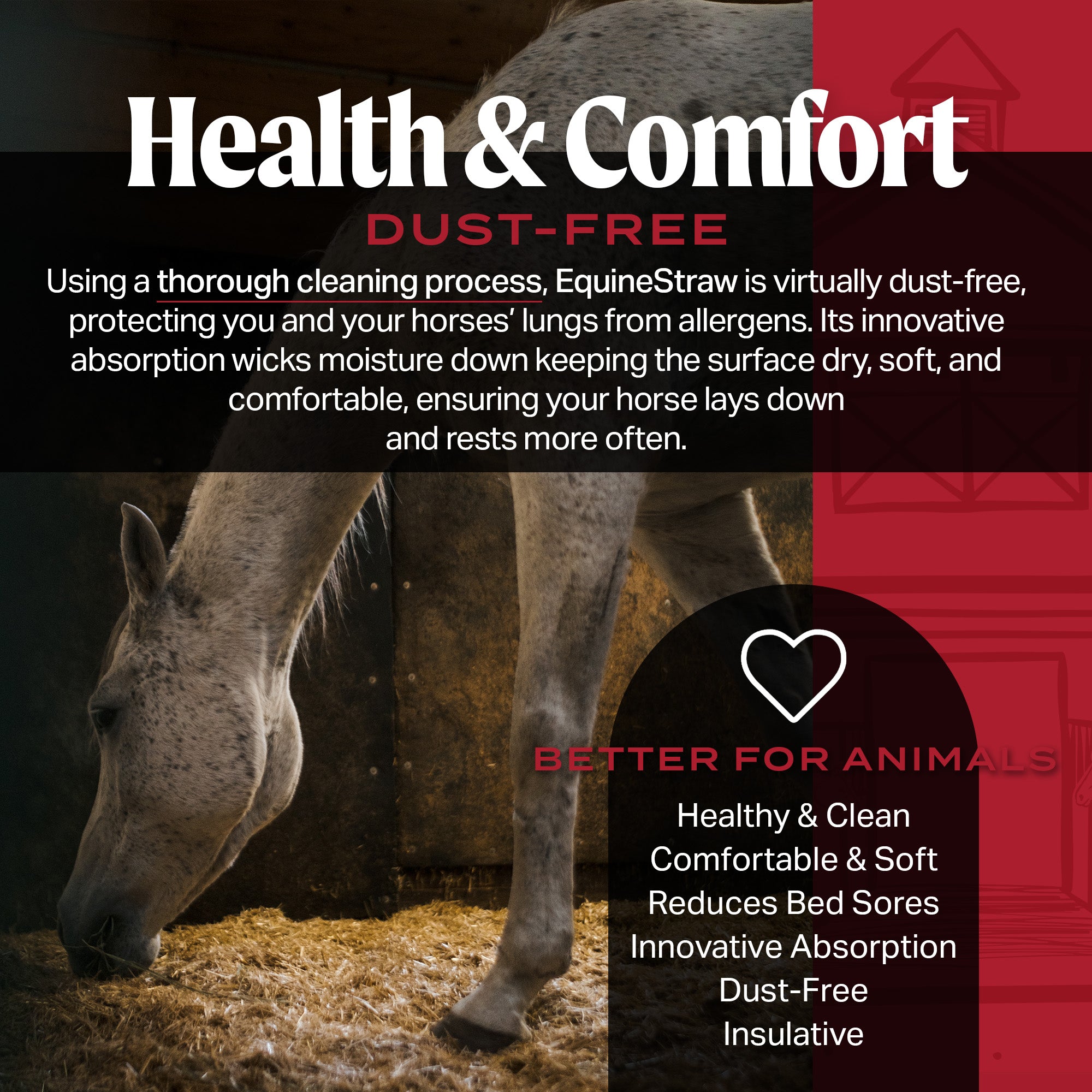 HealthiStraw EquineStraw – All-Natural, Clean Horse Straw Bedding – 3 cu ft (25 lb) Expands to 10+ cu ft