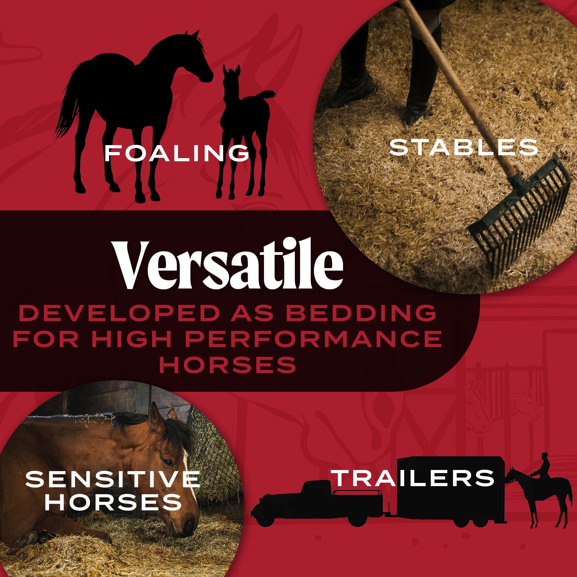 HealthiStraw EquineStraw – All-Natural, Clean Horse Straw Bedding – 3 cu ft (25 lb) Expands to 10+ cu ft