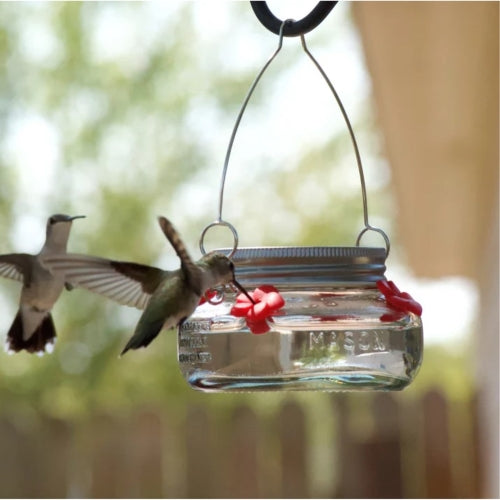 Nature’s Way Glass Mason Jar Hummingbird Feeder — 4 Feeding Ports — Easy Fill & Clean, 6 oz