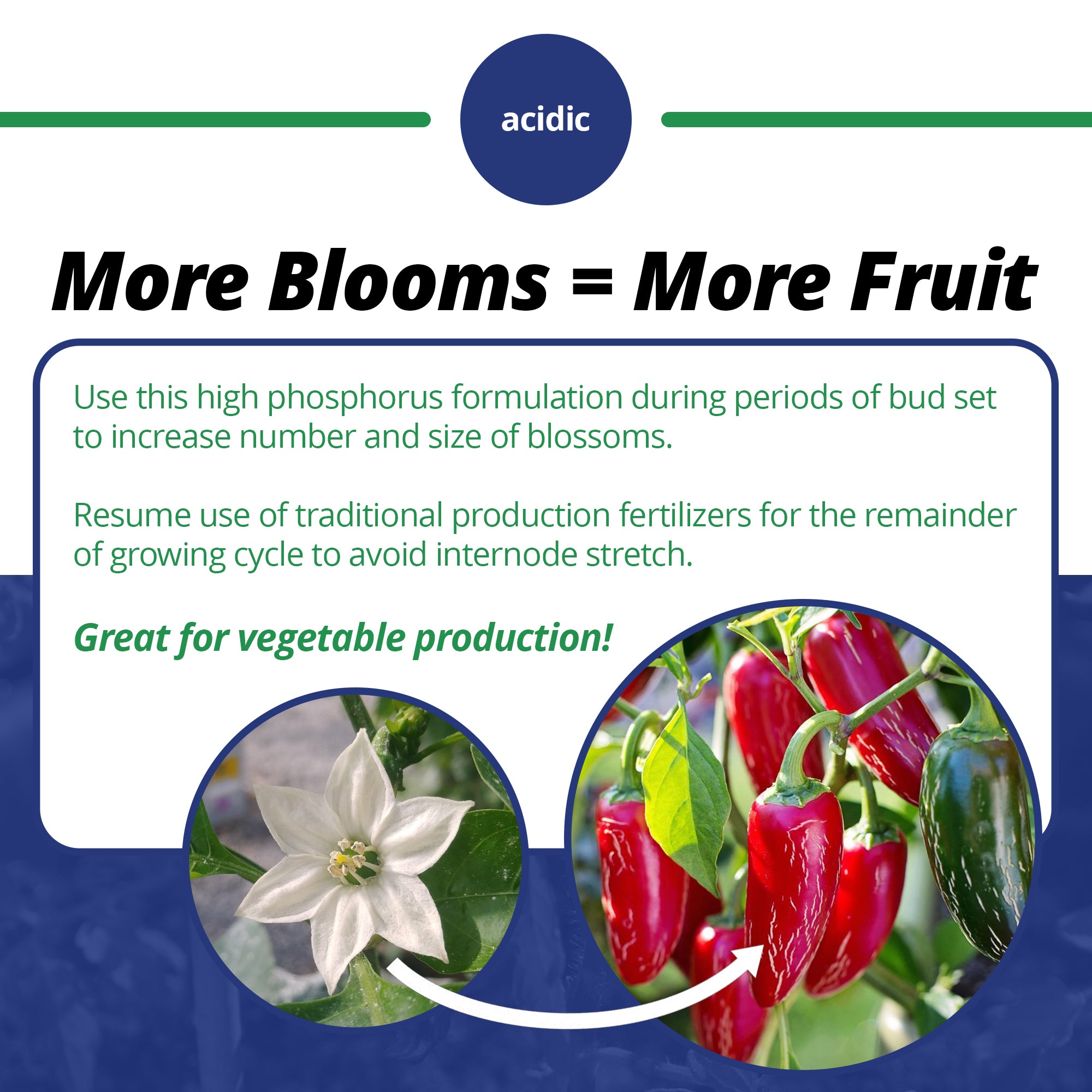 JR Peters Jack's Professional Blossom Booster 10-30-20 Fertilizer, 25lb