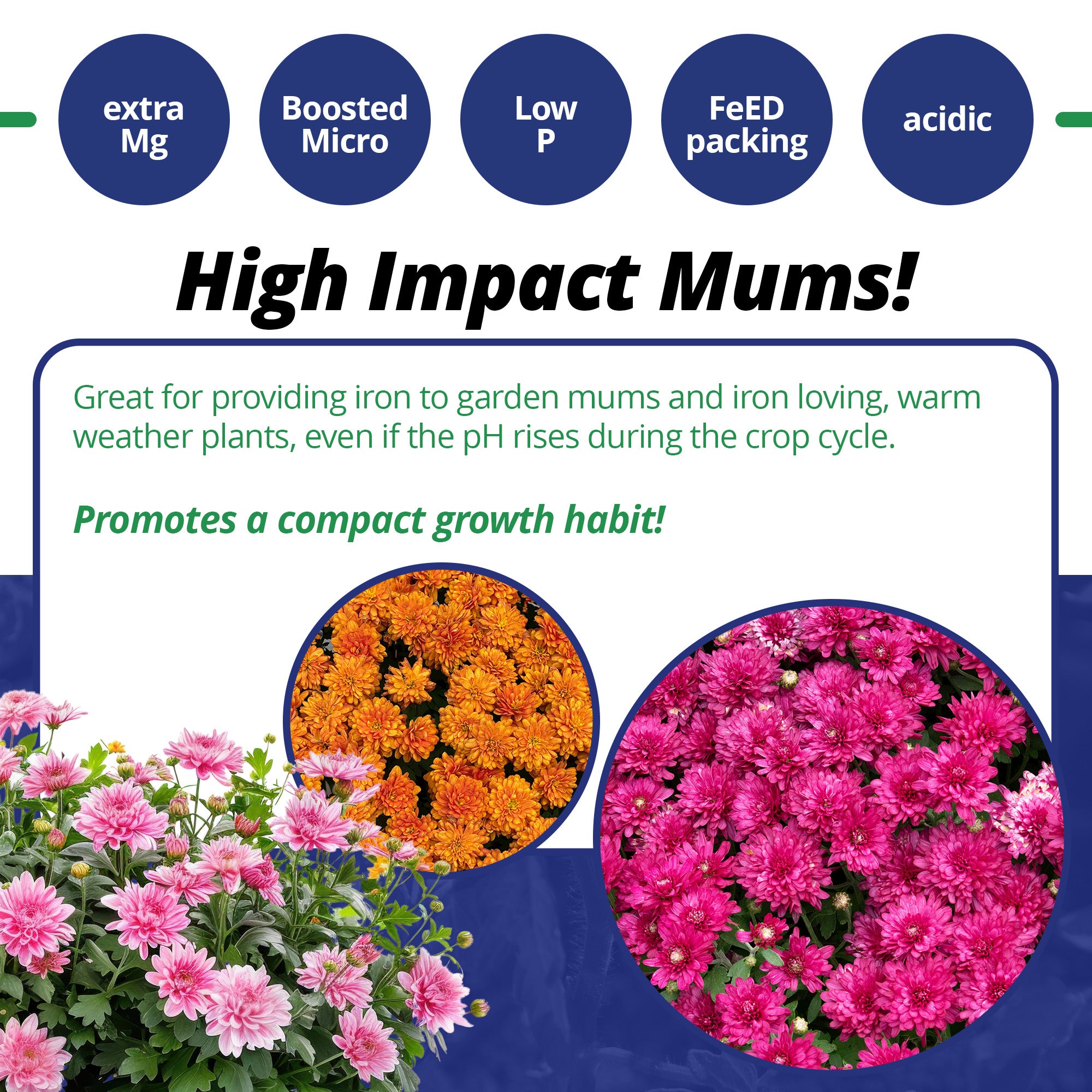 Jacks Prof Mum Feed Plus Magnesium 22-5-16 Fertilizer, 25-Pound