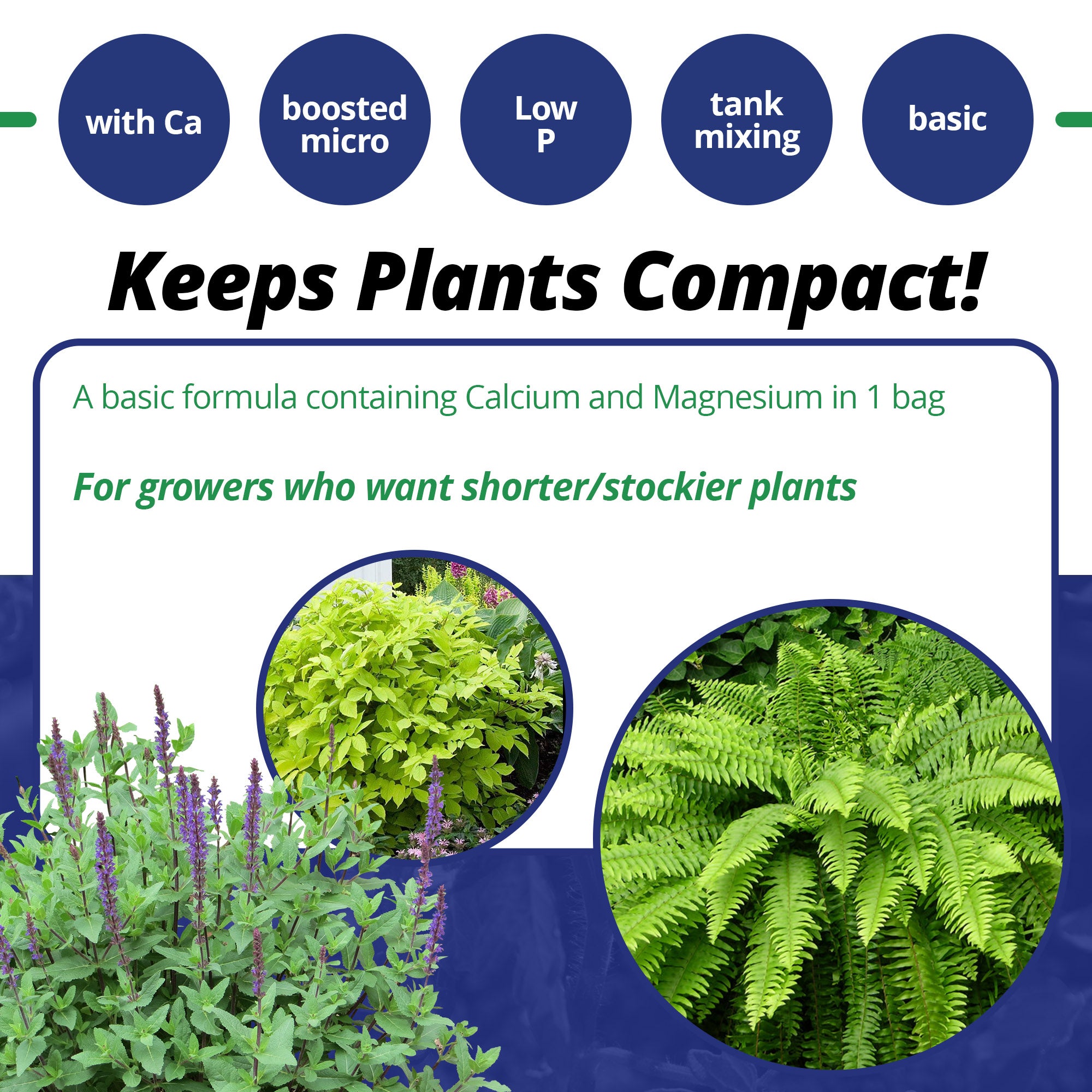 Jack's Professional Calcium Magnesium LX 15-5-15 Fertilizer, 25 lb