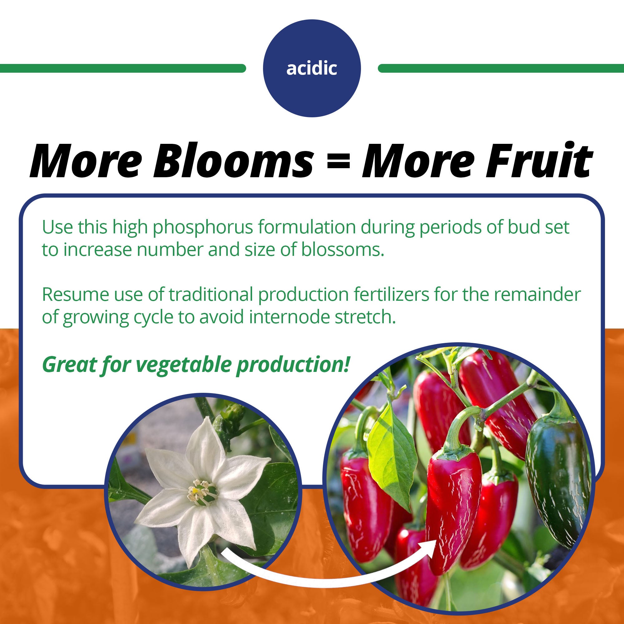 Jack's Classic Blossom Booster Water Soluble Plant Food